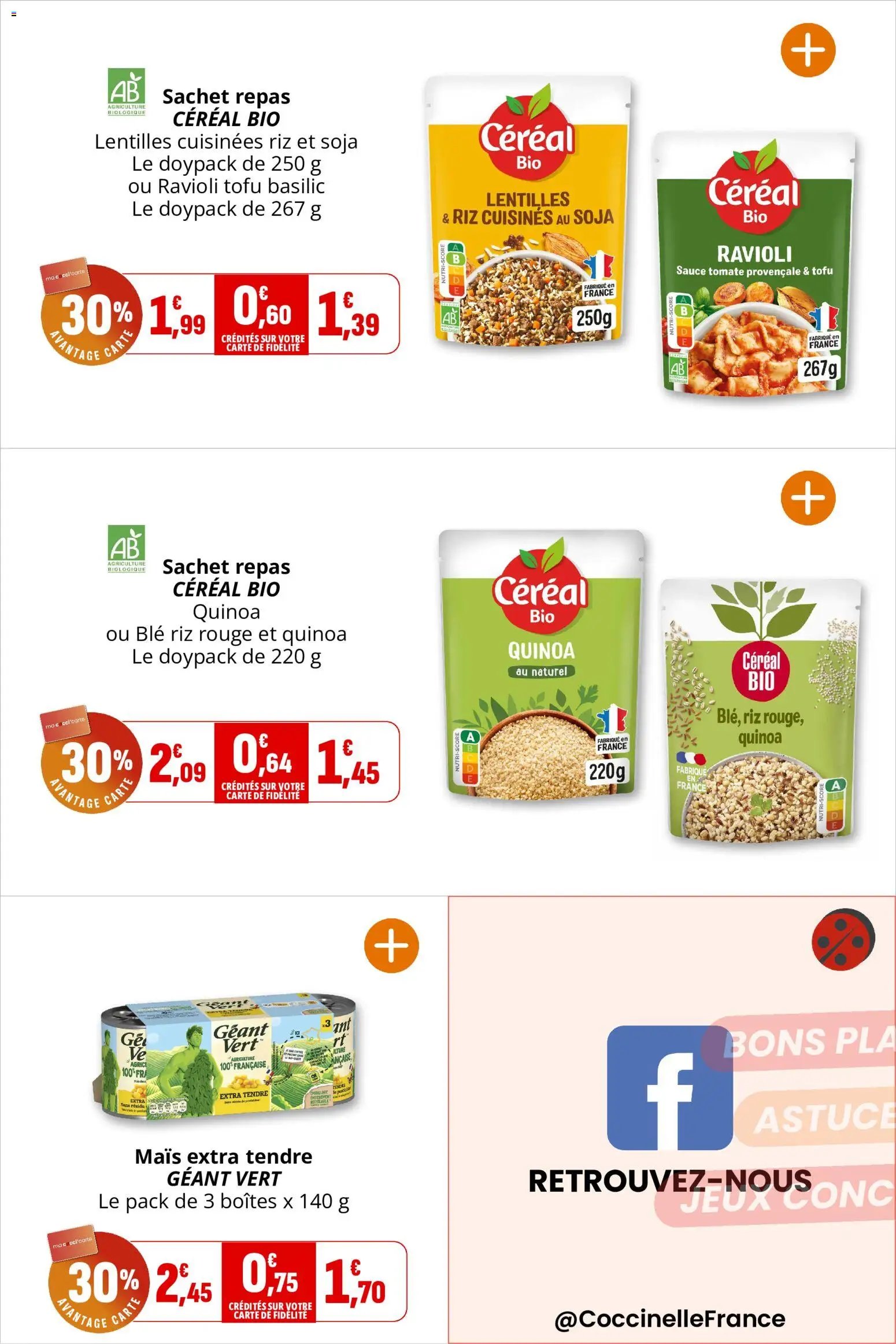 Coccinelle catalogue