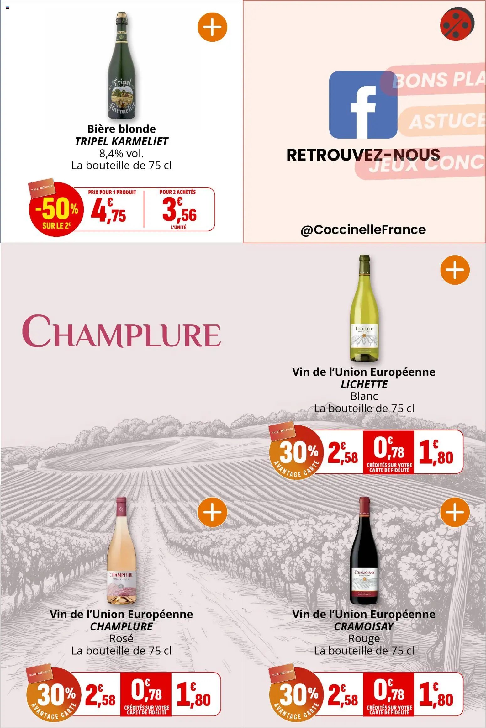 Coccinelle catalogue