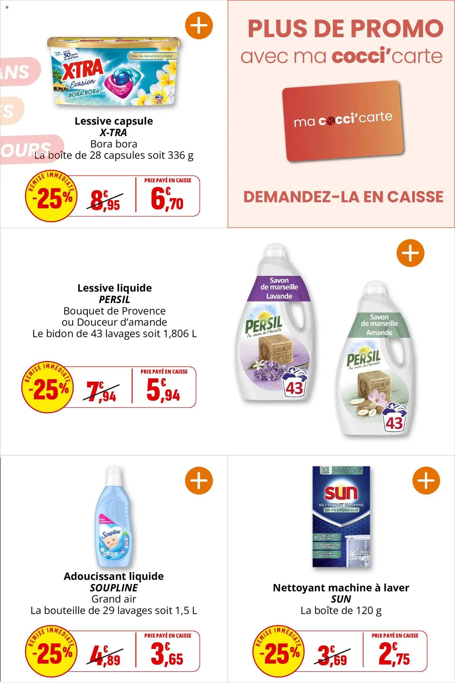Coccinelle catalogue