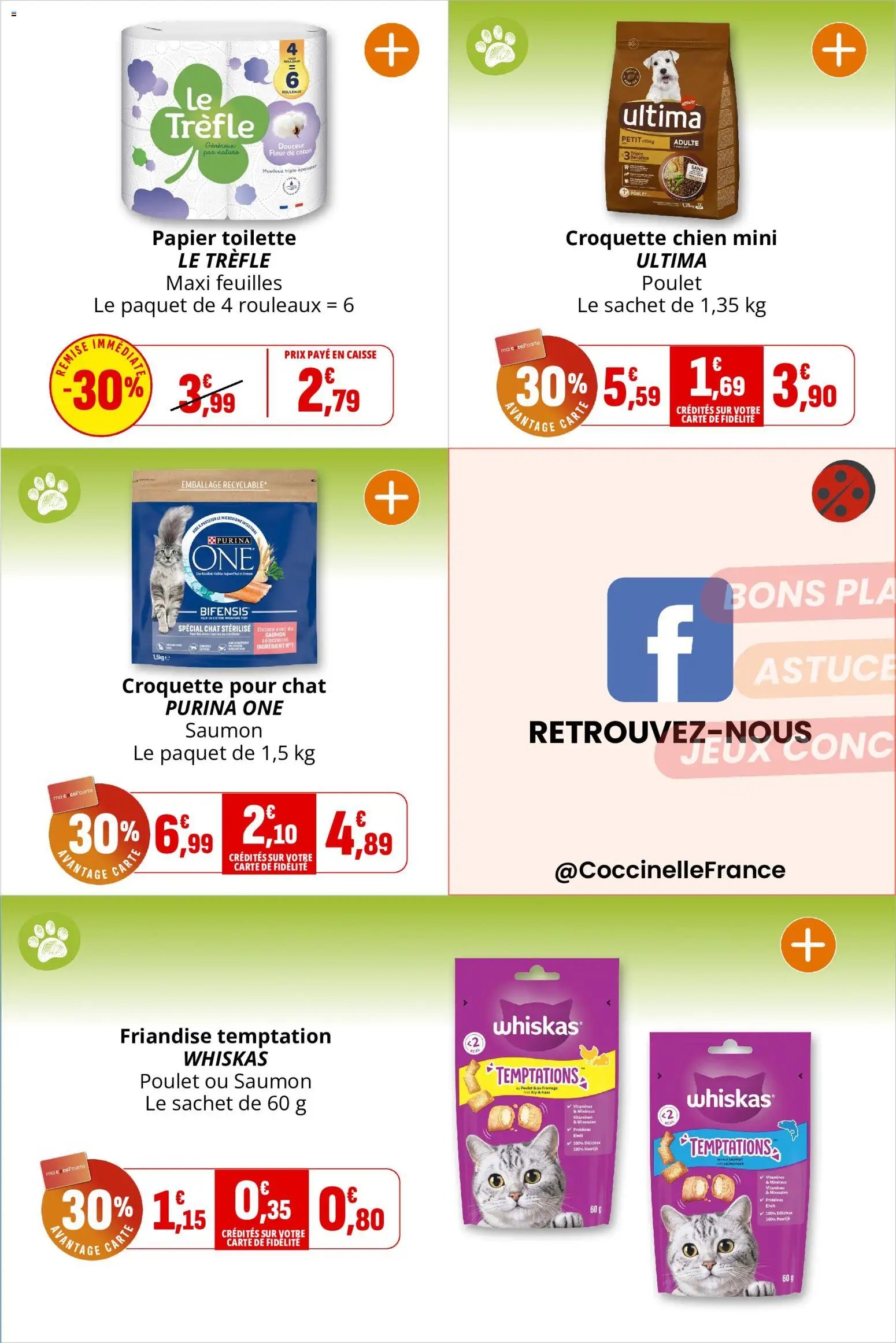 Coccinelle catalogue