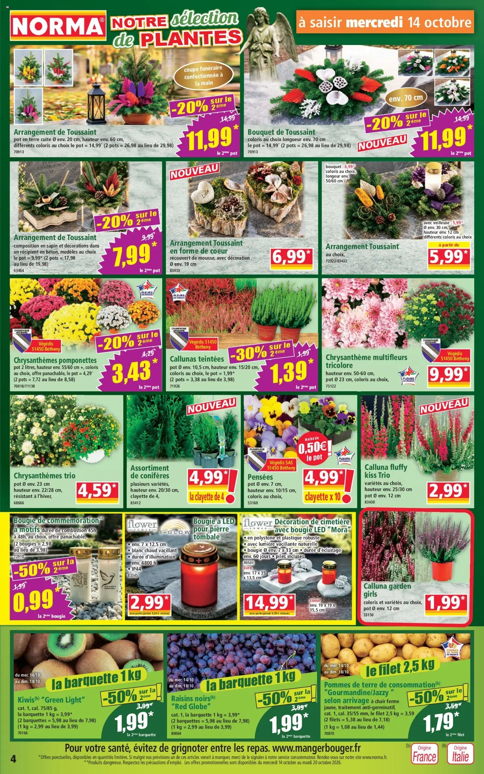 Norma catalogue