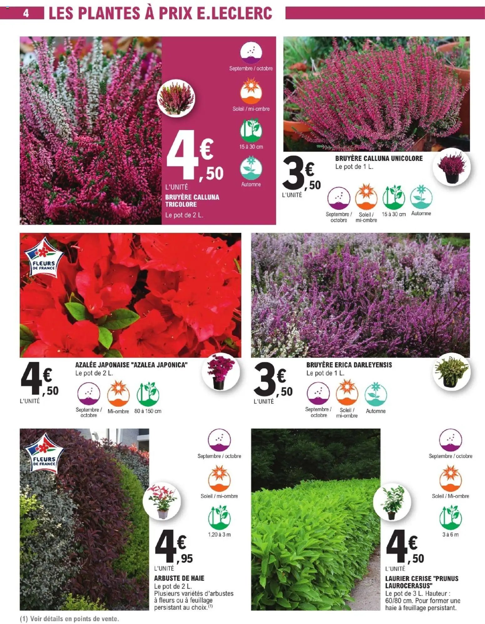 Brico E.Leclerc catalogue Jardin