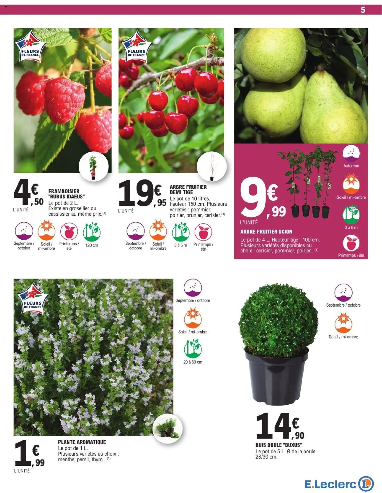 Brico E.Leclerc catalogue Jardin