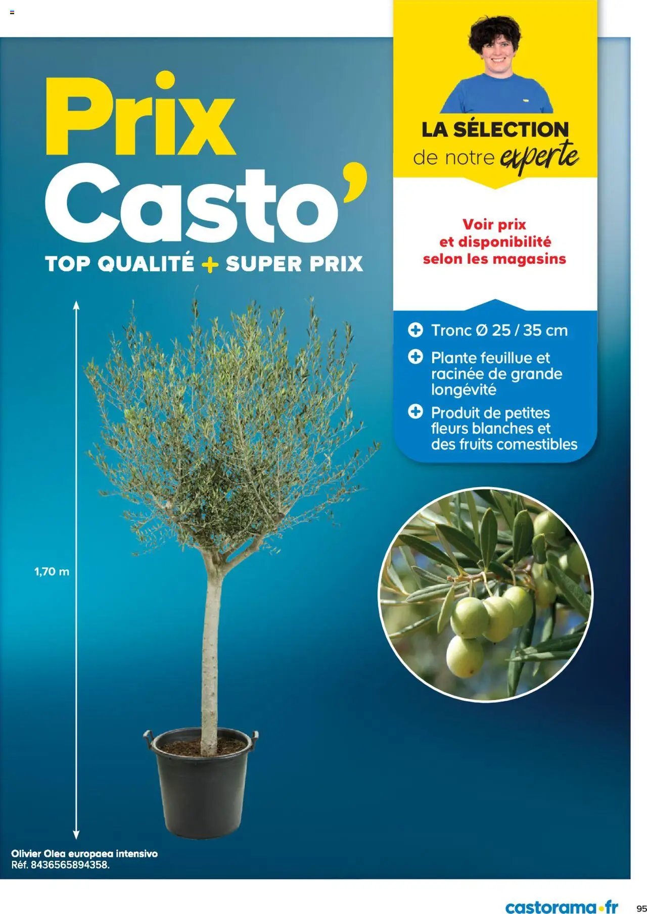 Castorama La collection jardin (2025-02-26 - 2025-12-31)
