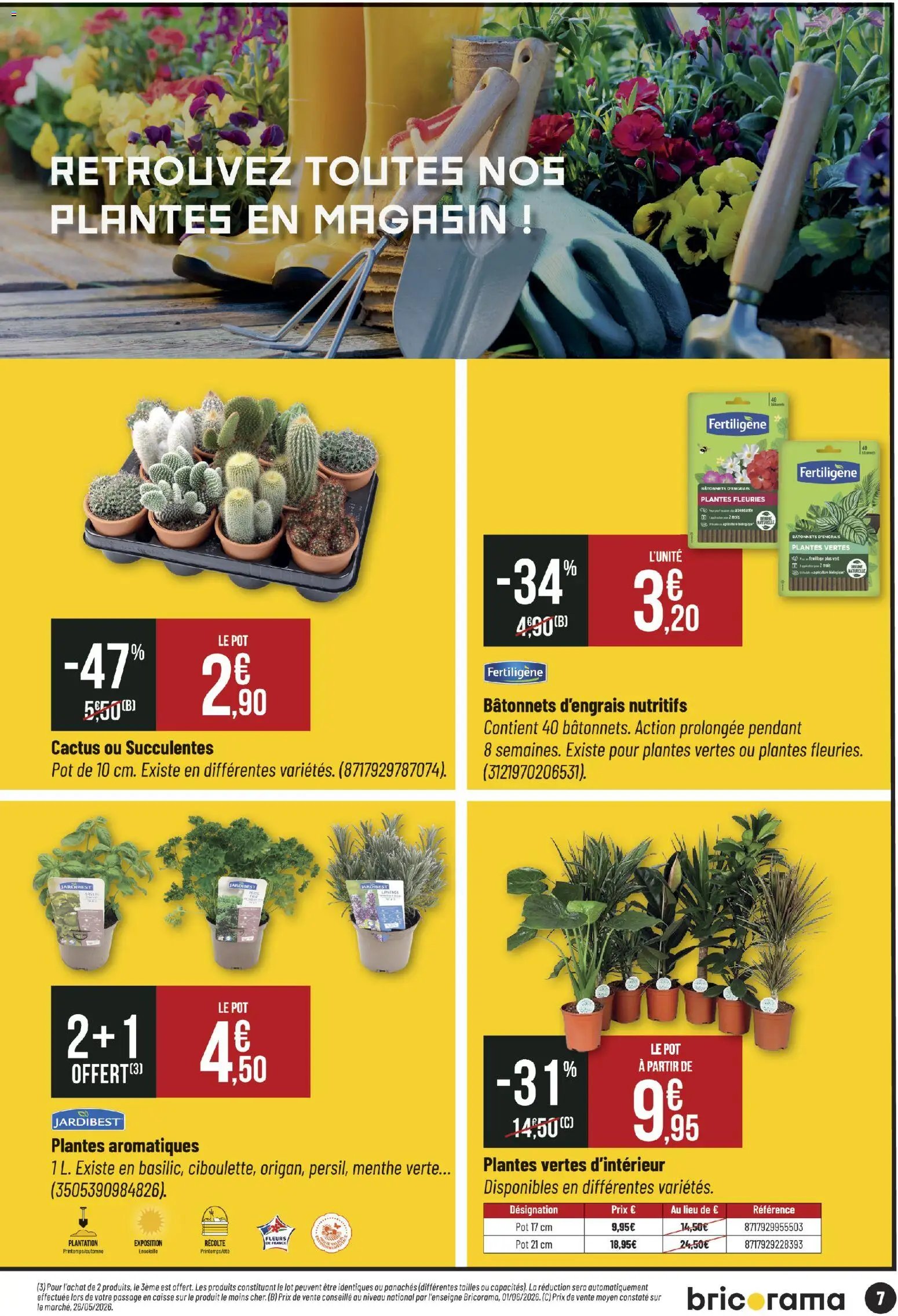 Bricorama catalogue