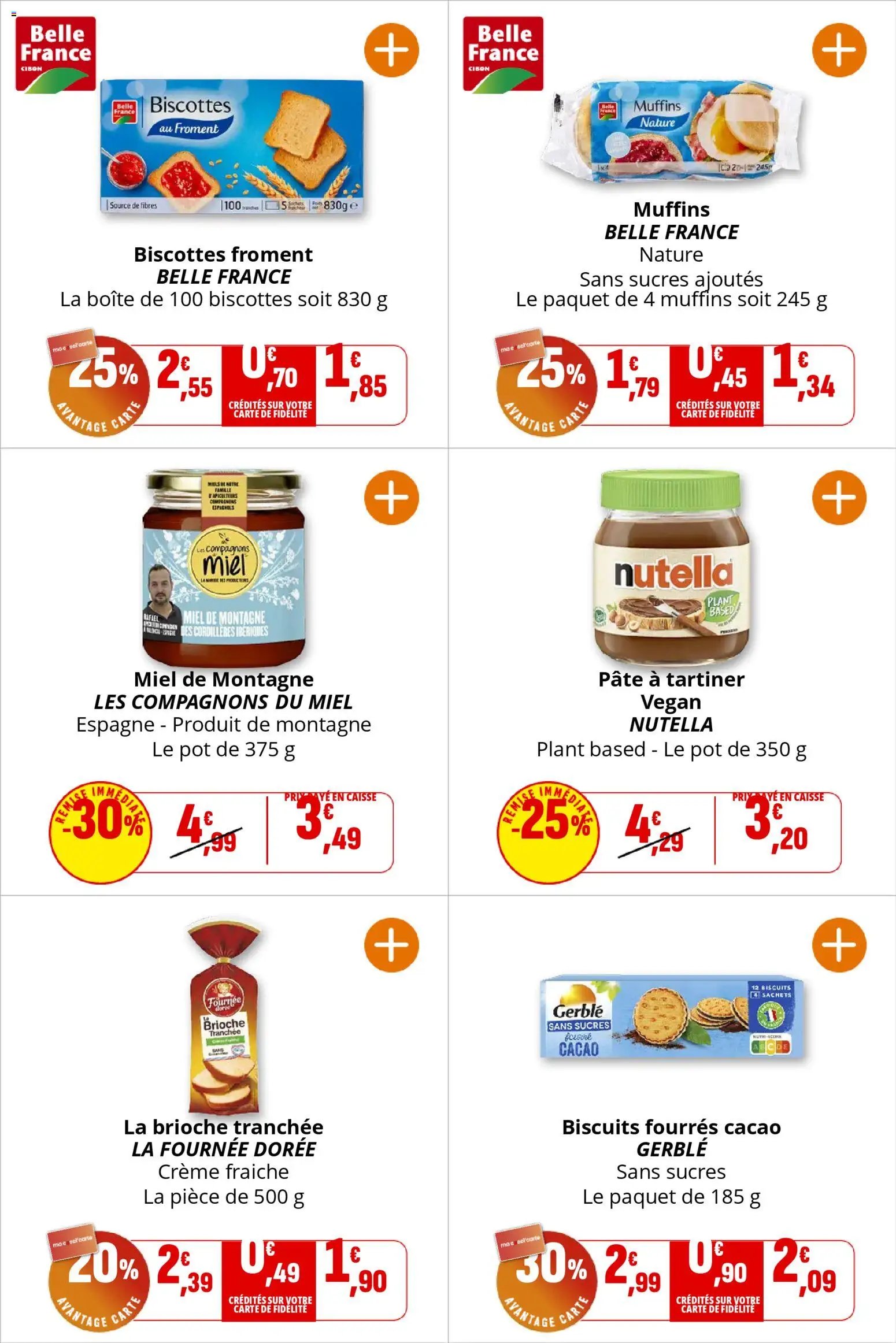 Coccinelle - Express (2026-01-02 - 2026-01-11)