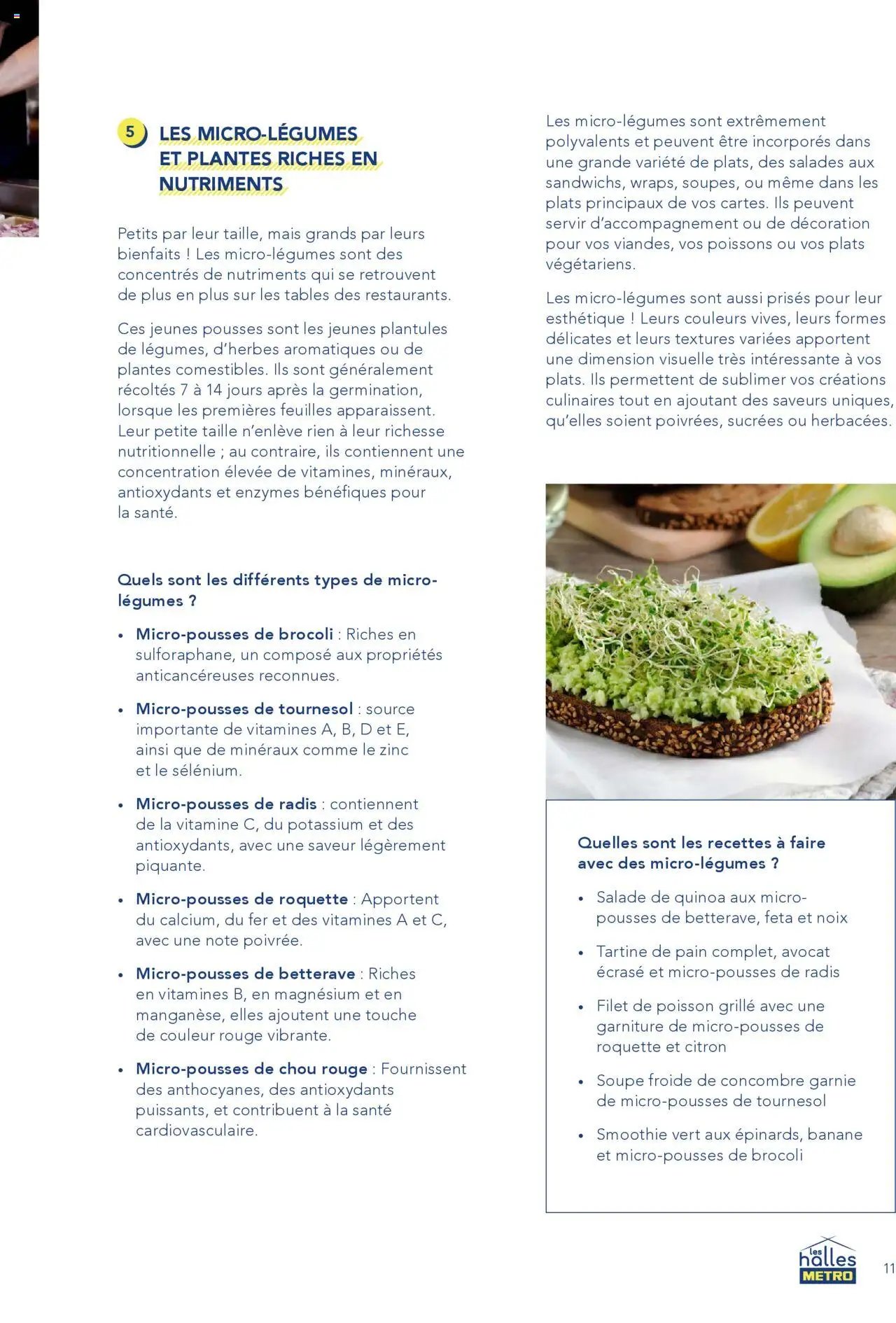 METRO catalogue (2025-01-01 - 2025-12-31)
