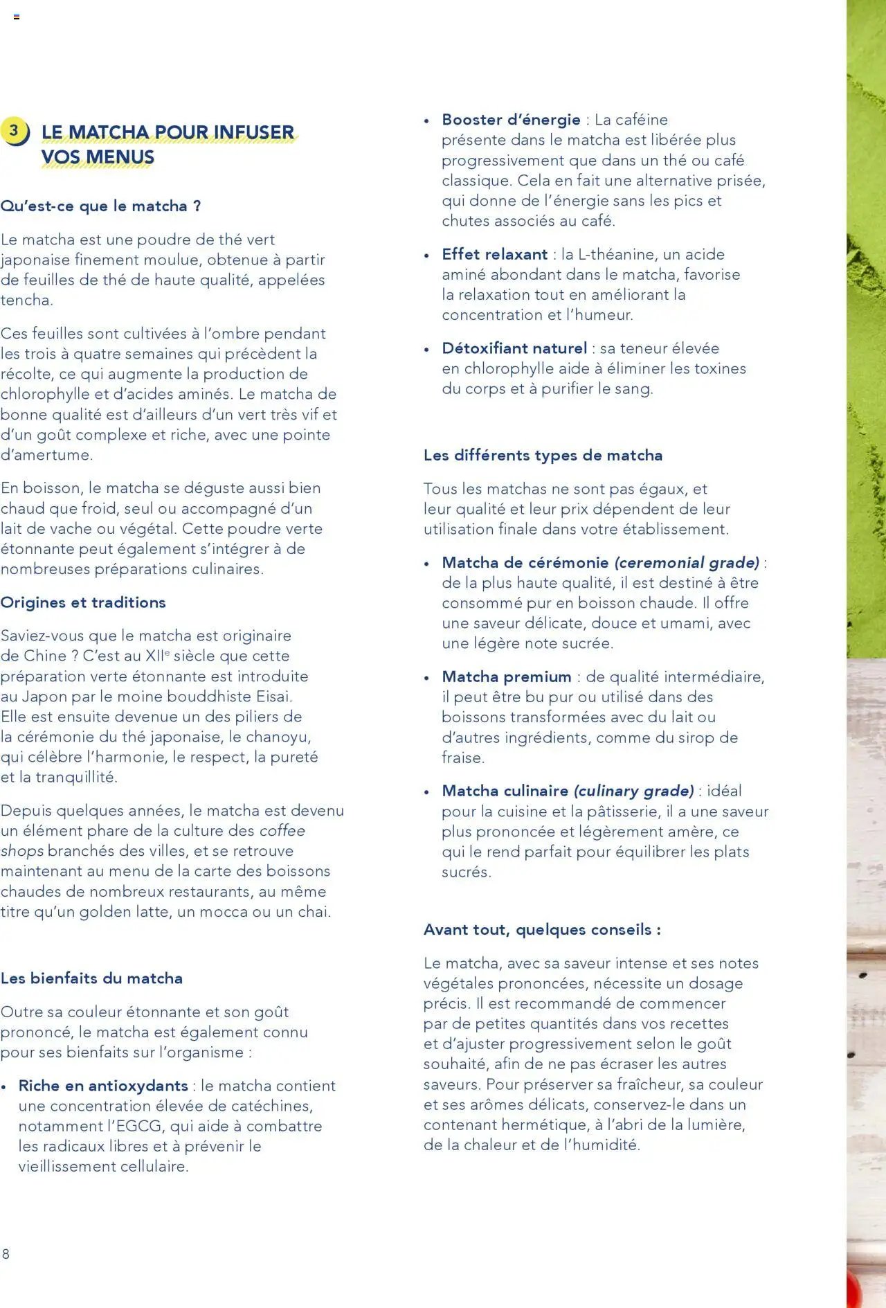 METRO catalogue (2025-01-01 - 2025-12-31)