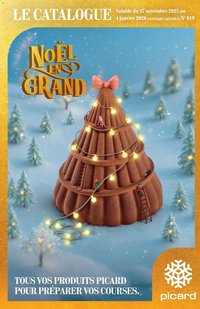 Picard Noël en grand (2025-11-17 - 2026-01-04)