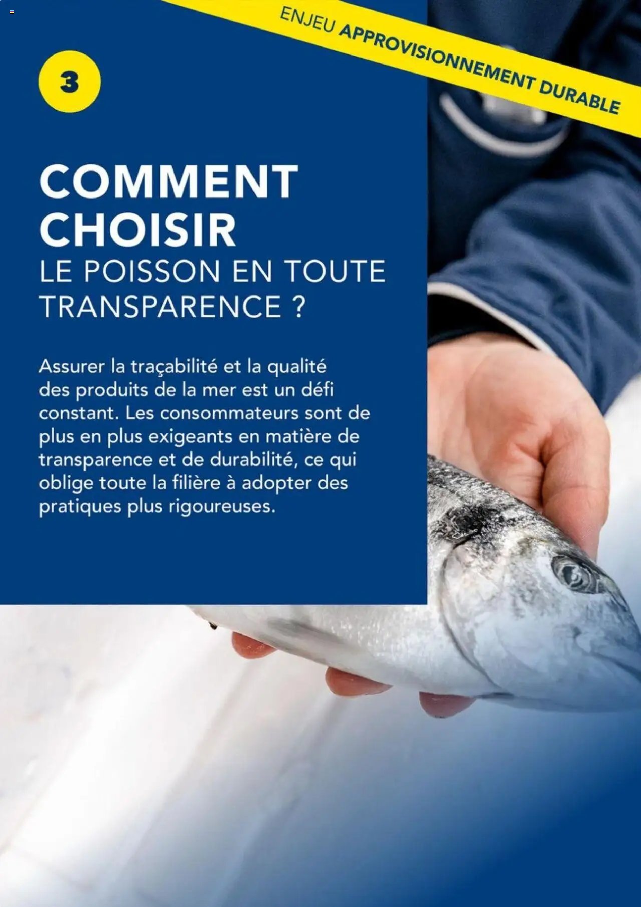 METRO - La maree de demain (2025-09-01 - 2025-10-31)