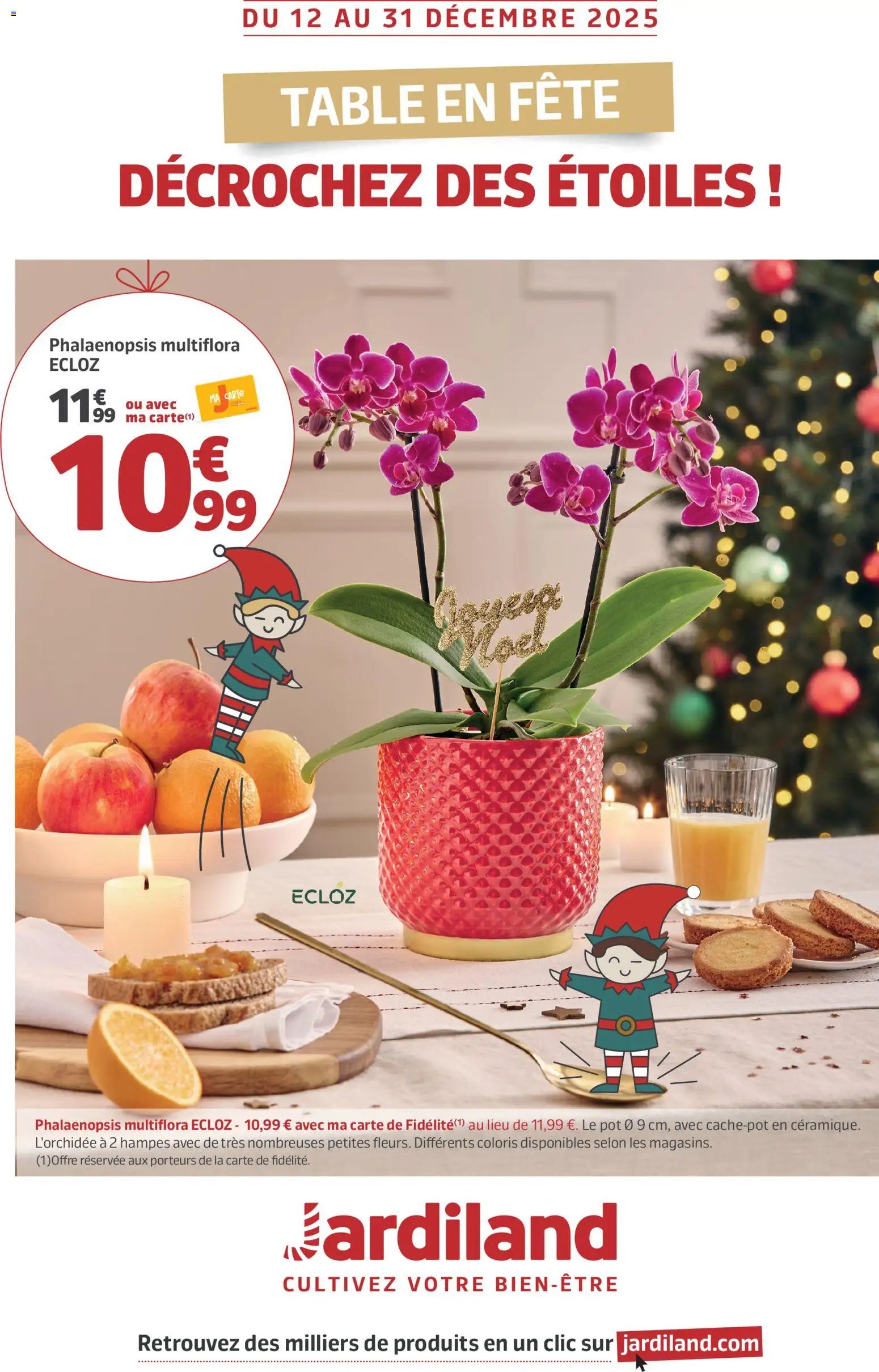 Jardiland catalogue (2025-12-12 - 2025-12-31)