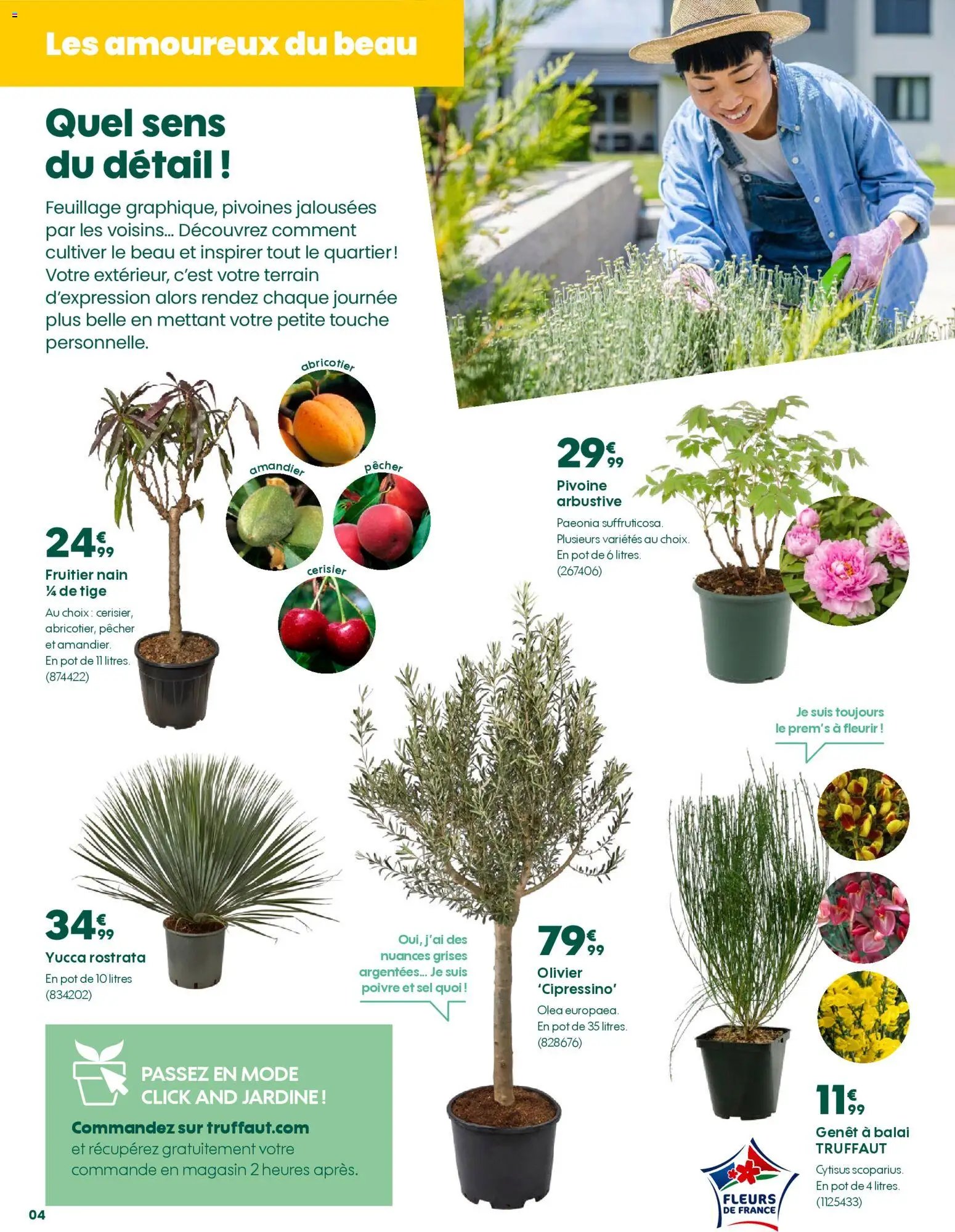 Truffaut catalogue (2026-03-20 - 2026-04-06)