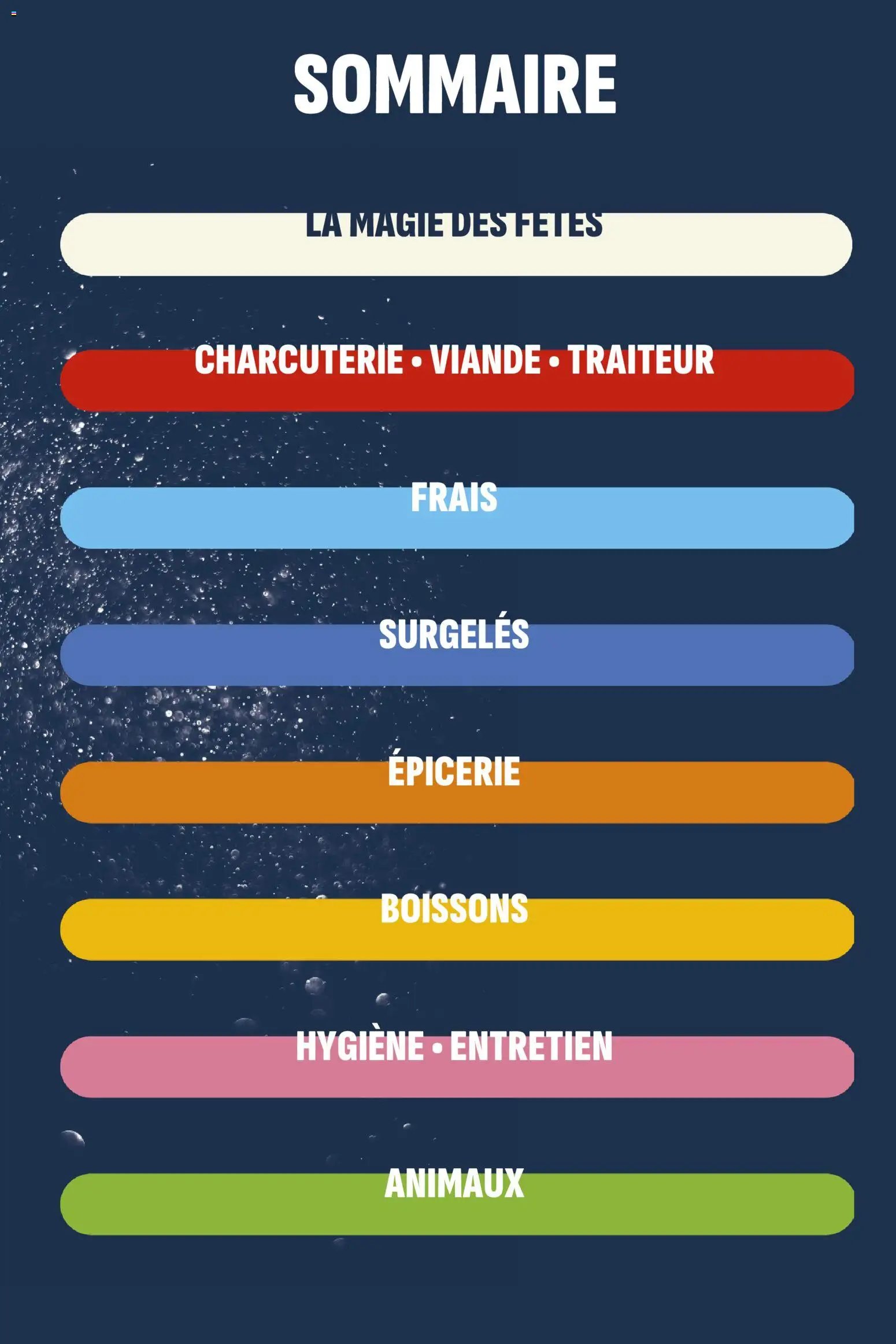 Coccinelle catalogue