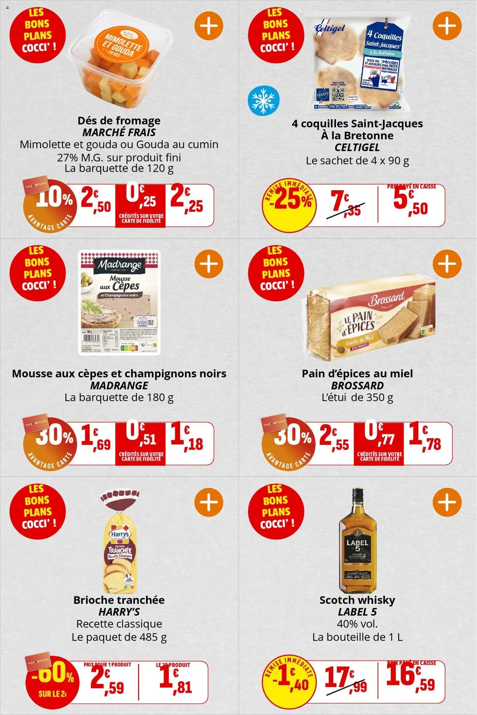 Coccinelle catalogue