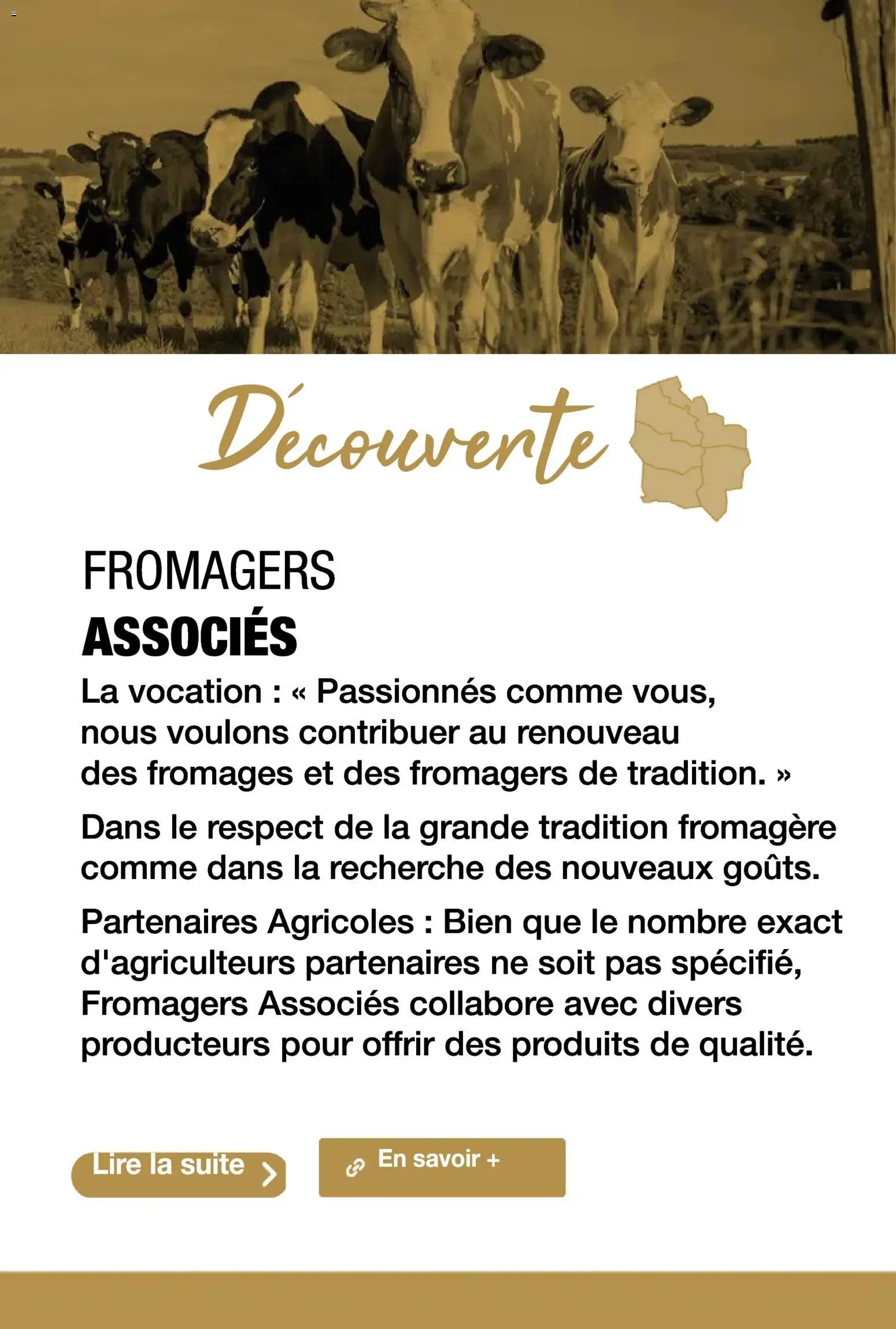 Promocash Carte fromages & accords vins (2025-11-19 - 2025-12-31)