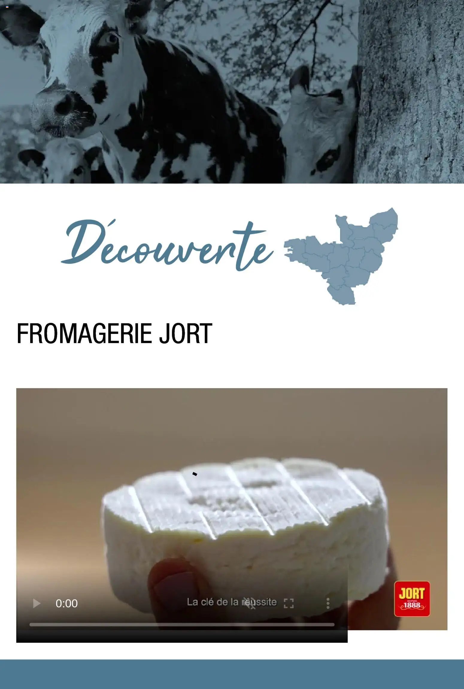 Promocash Carte fromages & accords vins (2025-11-19 - 2025-12-31)