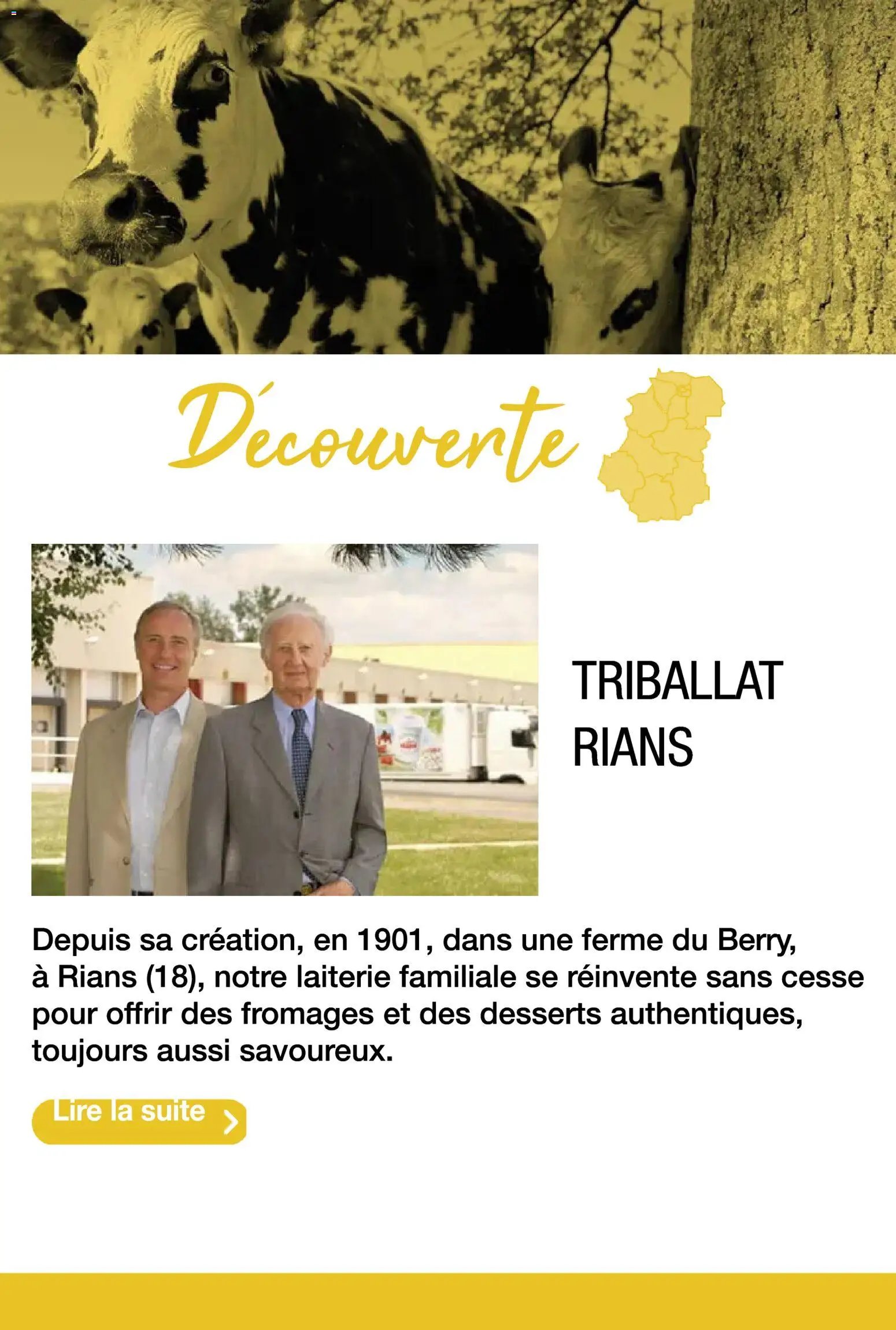 Promocash Carte fromages & accords vins (2025-11-19 - 2025-12-31)