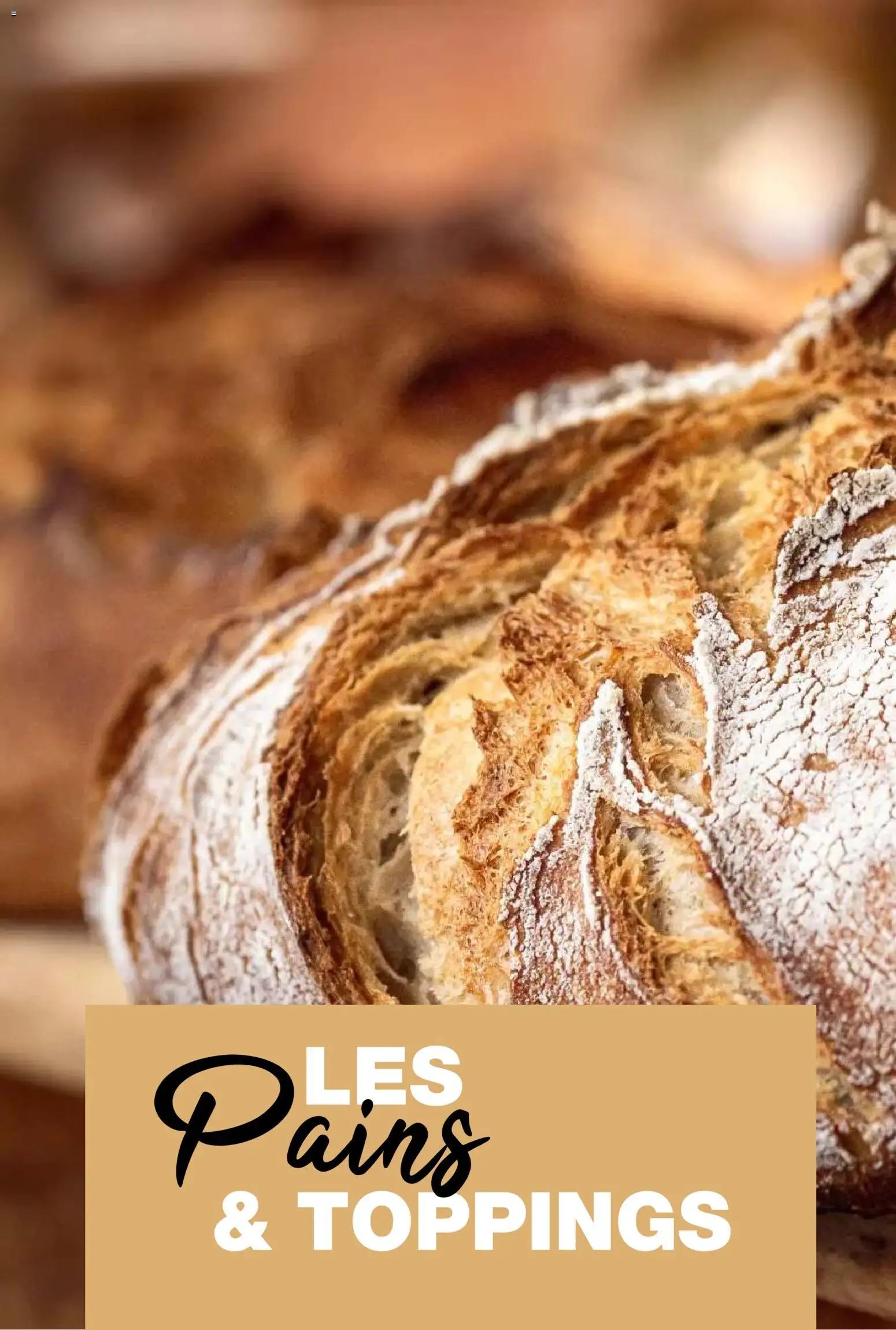 Promocash Carte fromages & accords vins (2025-11-19 - 2025-12-31)