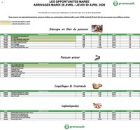 Promocash Opportunités Marée