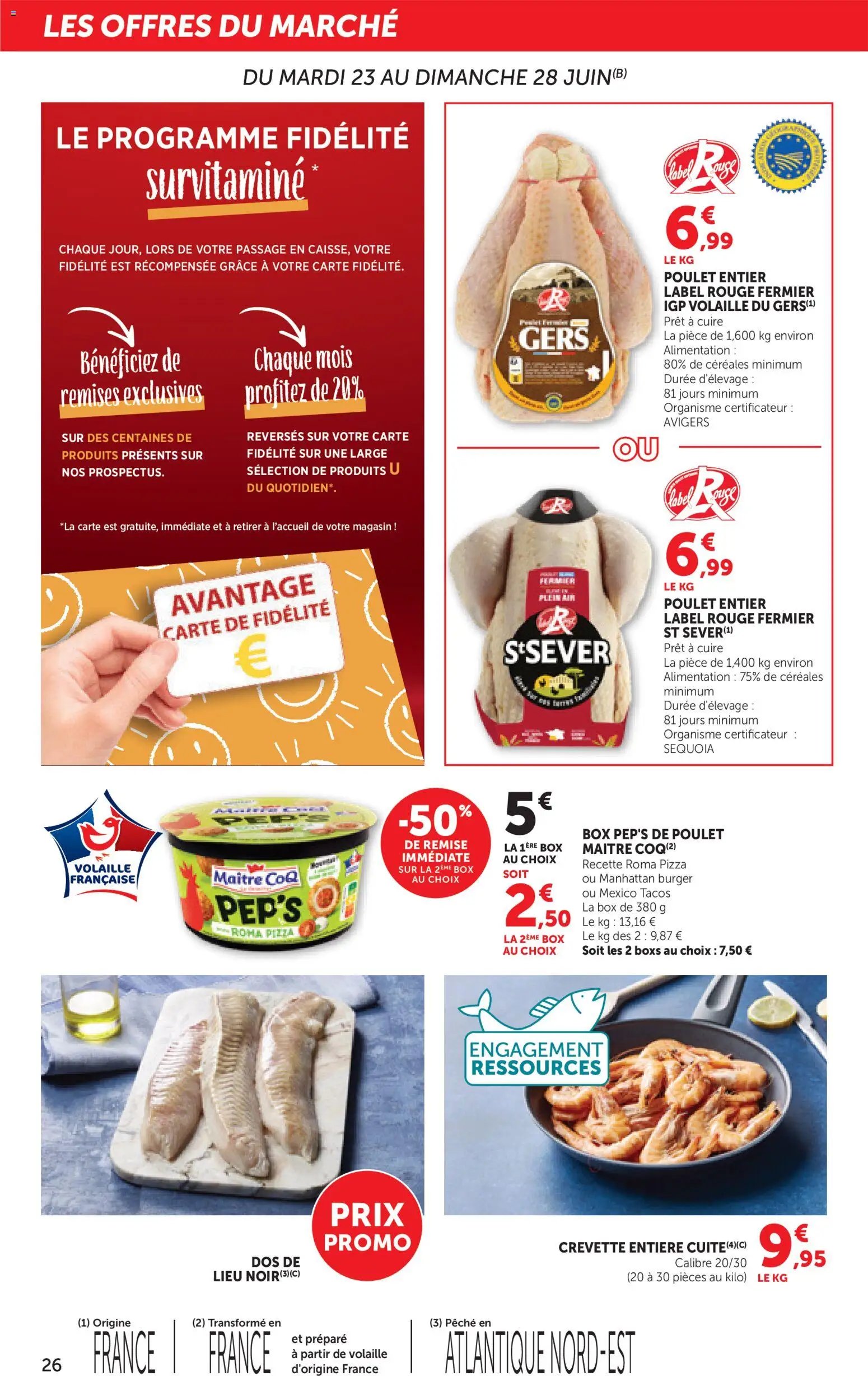 bi1 Catalogue