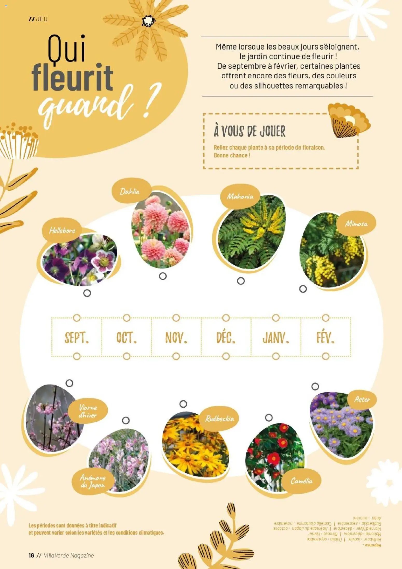 VillaVerde catalogue