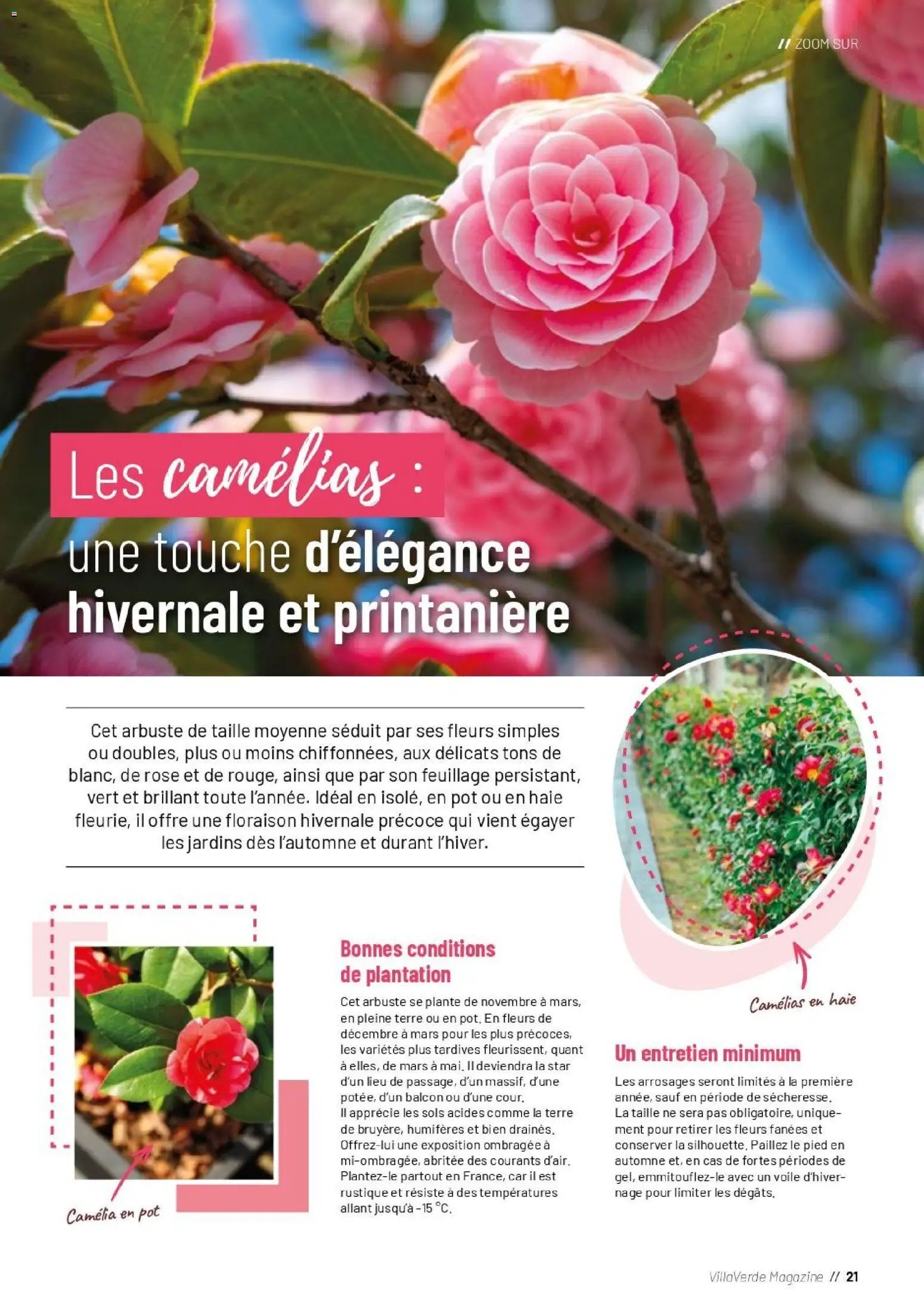 VillaVerde catalogue