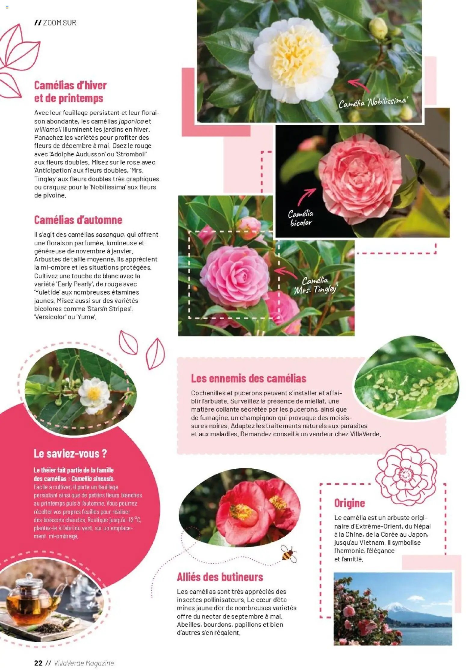 VillaVerde catalogue