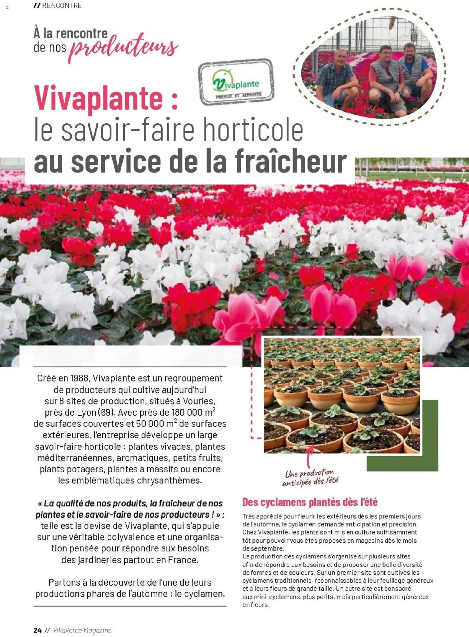 VillaVerde catalogue