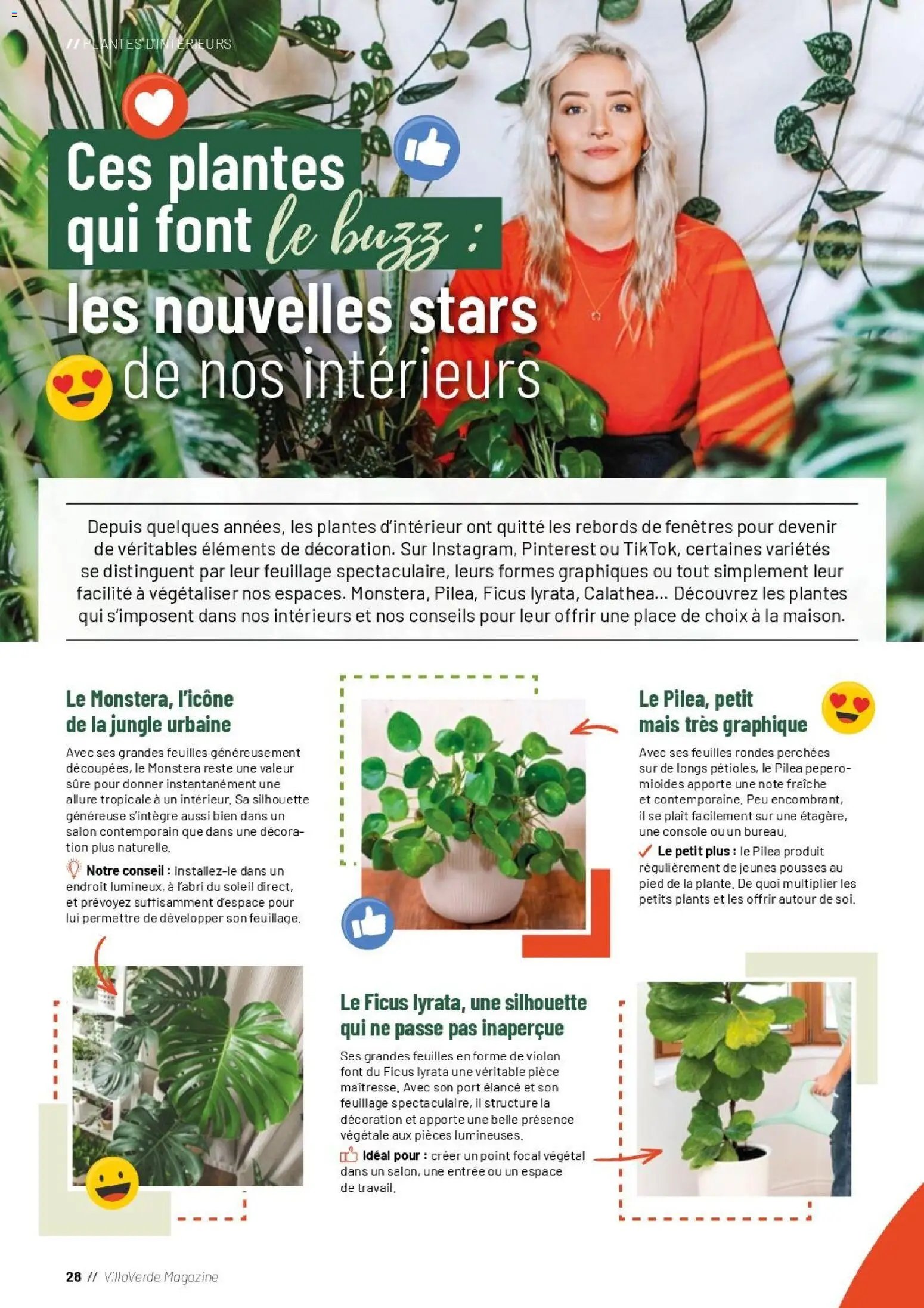 VillaVerde catalogue