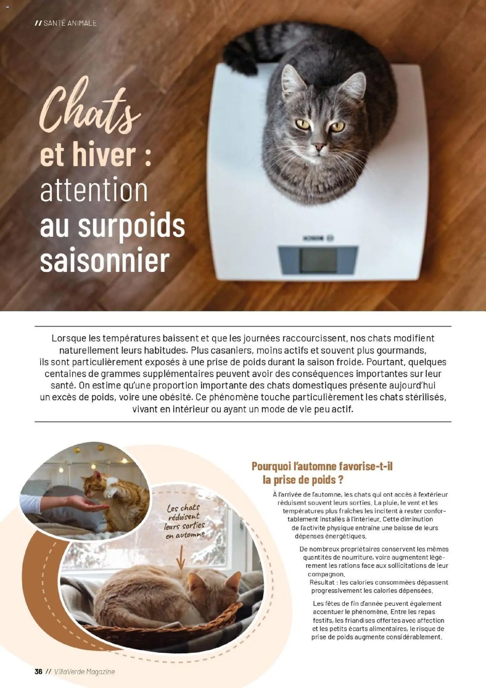 VillaVerde catalogue
