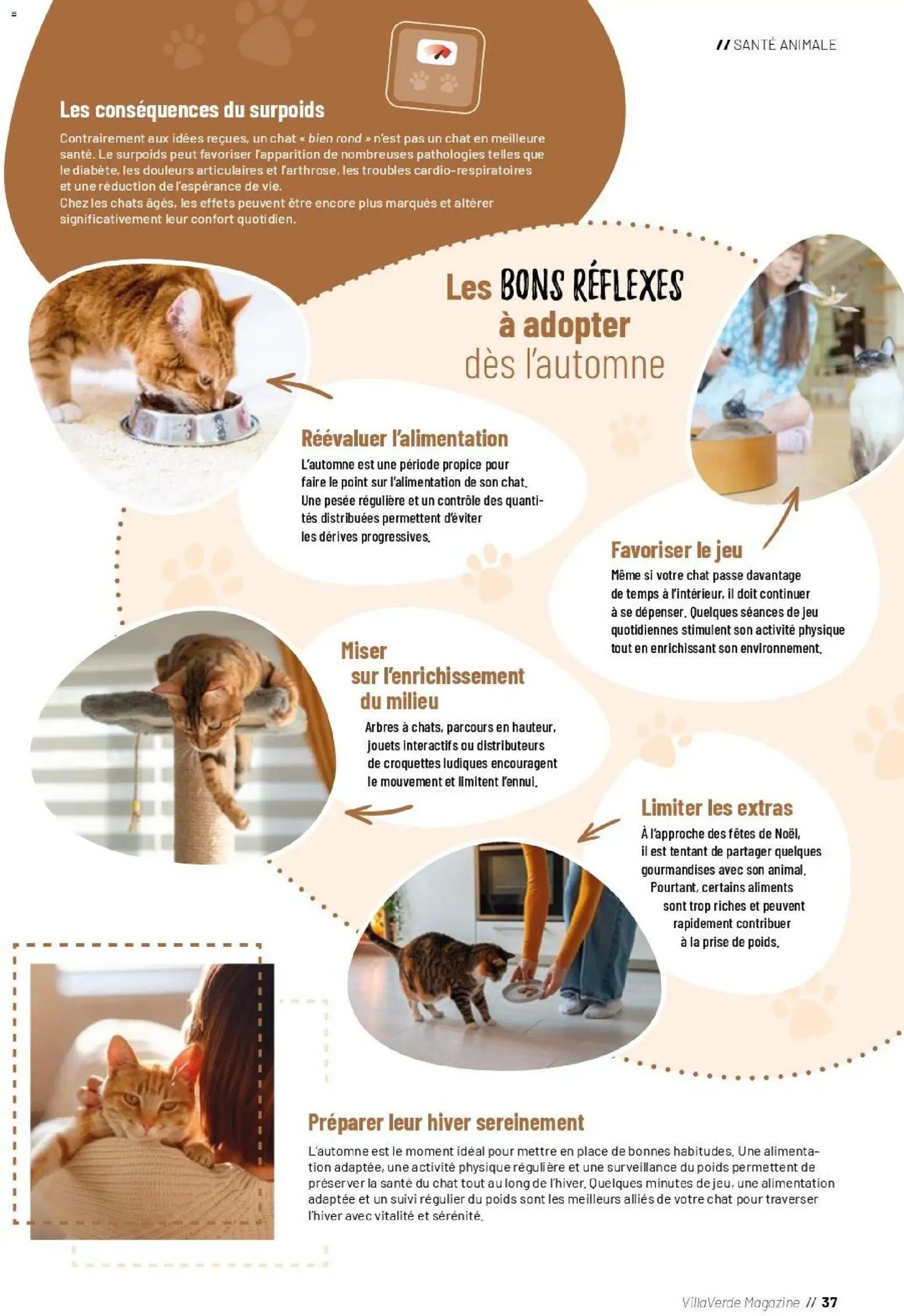 VillaVerde catalogue