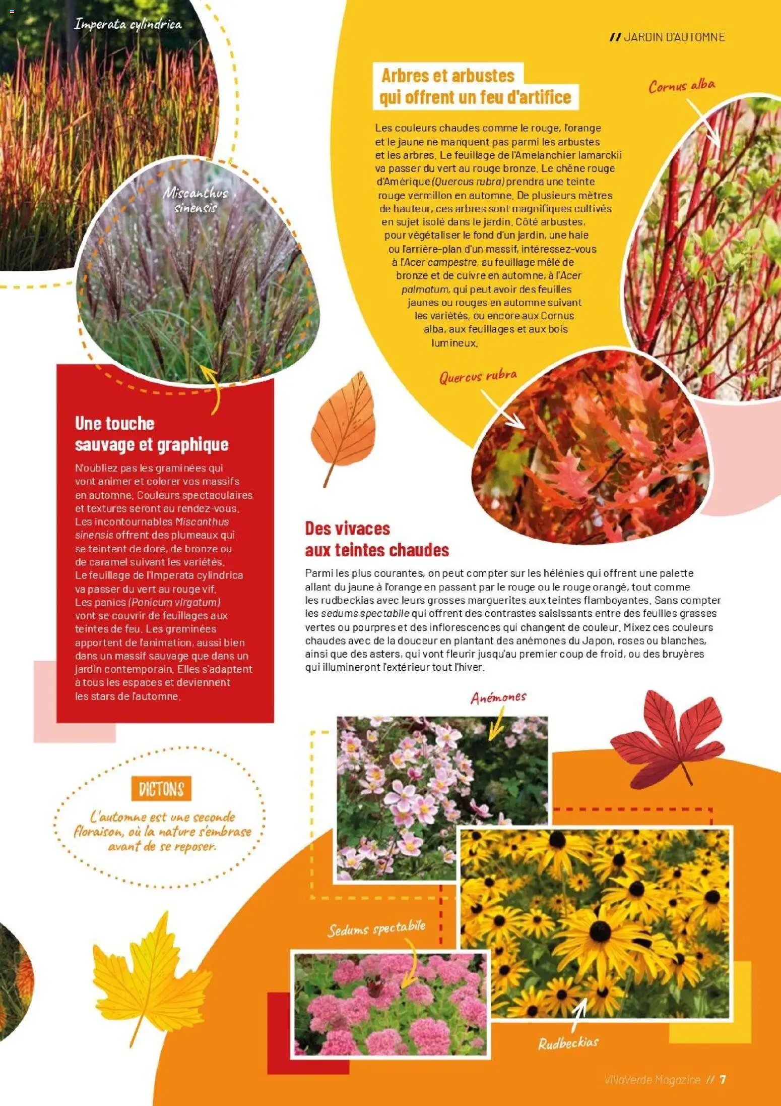 VillaVerde catalogue