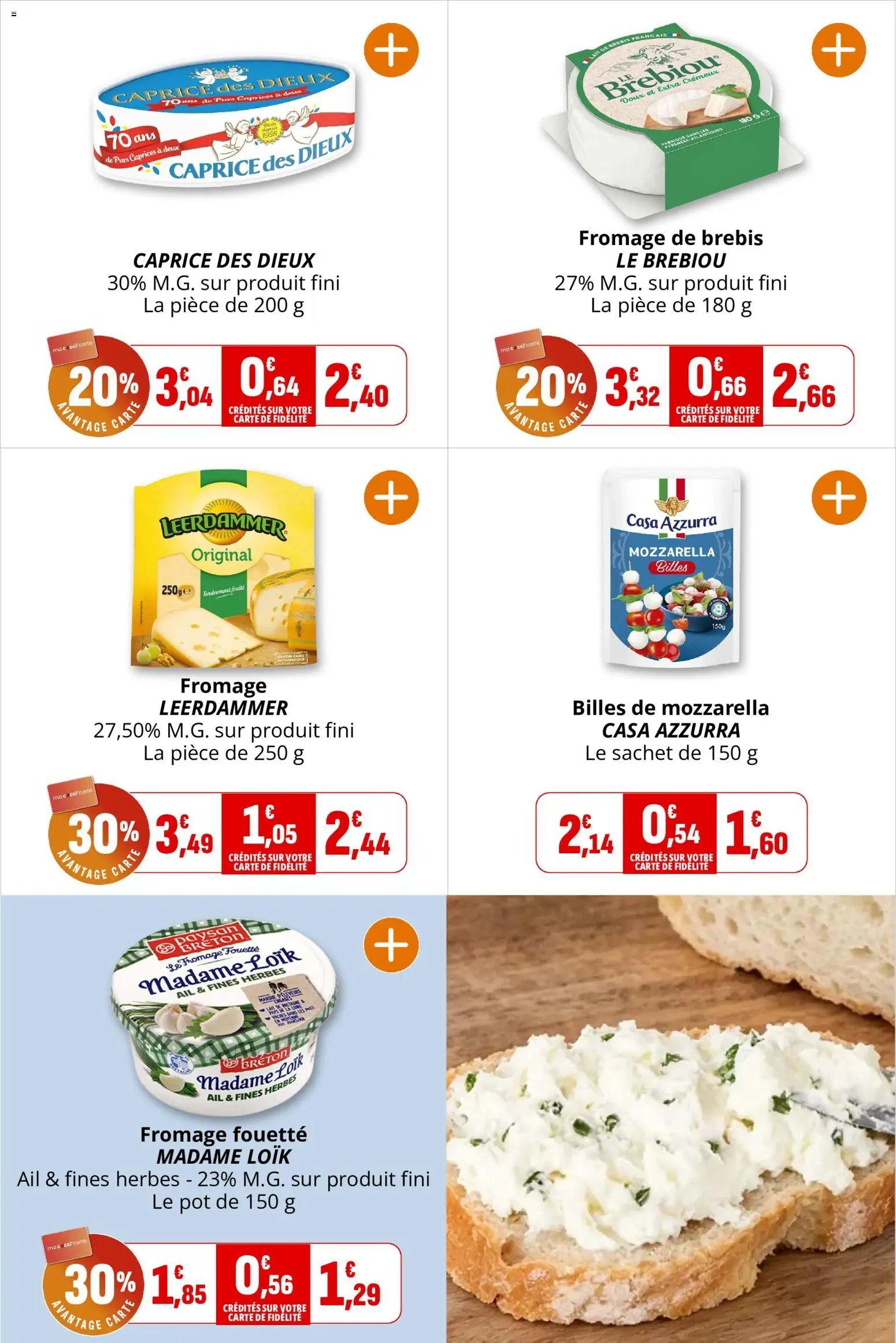Coccinelle catalogue