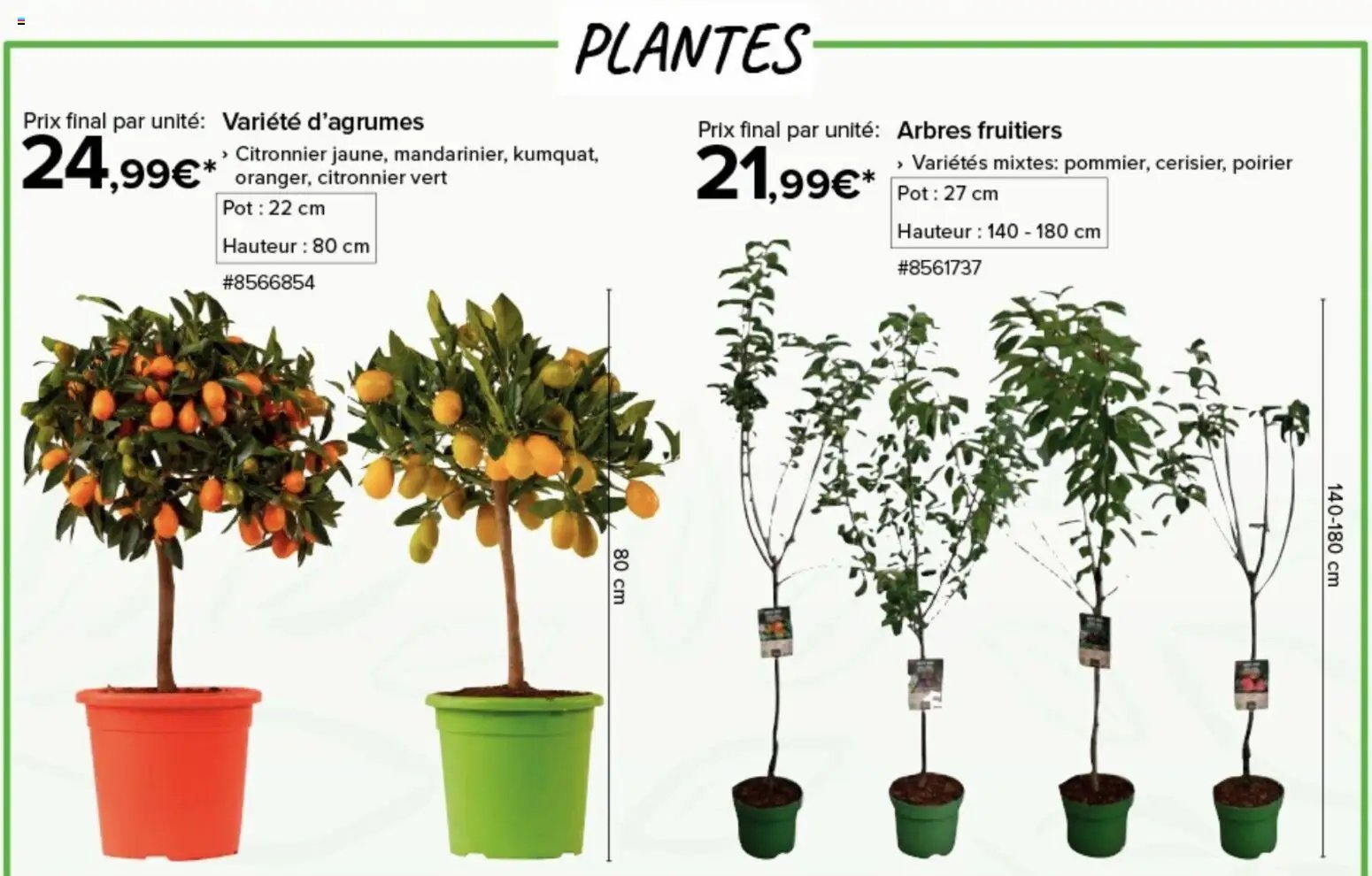 Costco Jardinage (2026-03-11 - 2026-03-15)