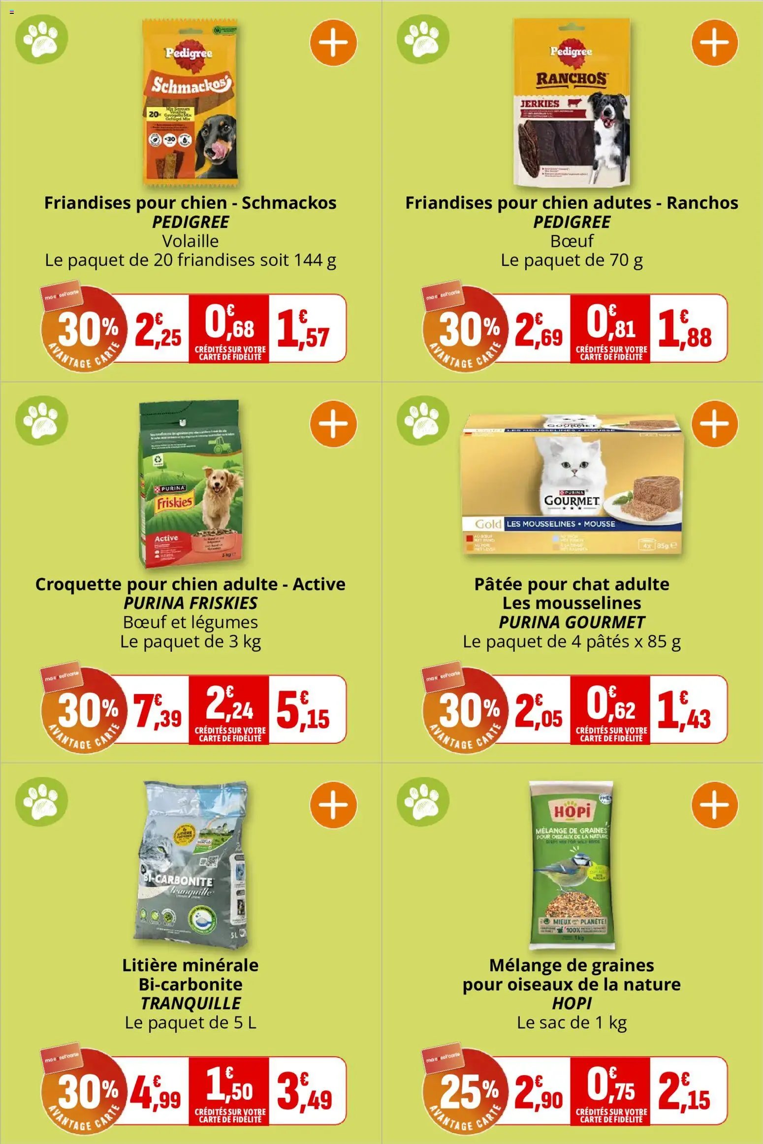 Coccinelle catalogue