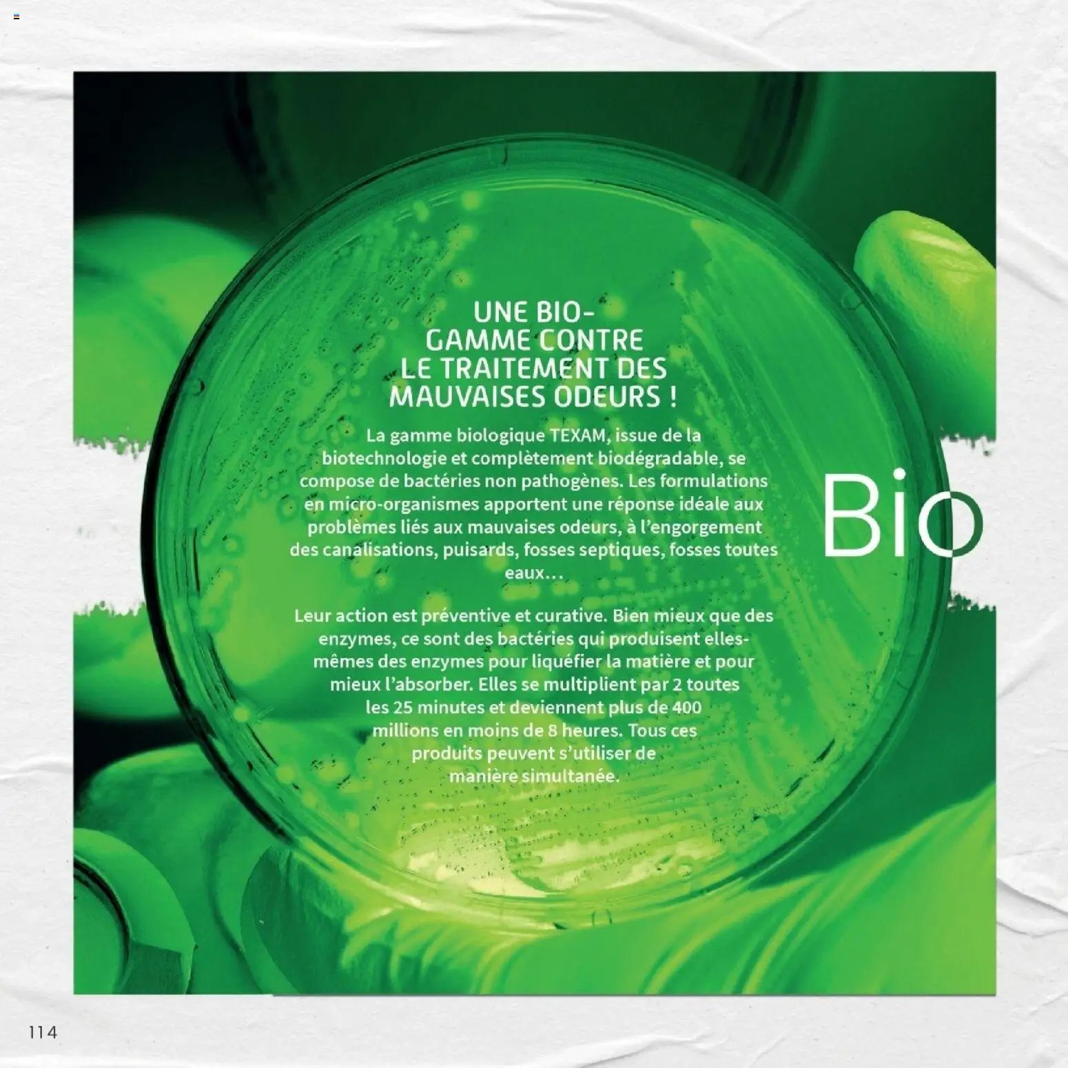 Texam catalogue 2026 (2026-02-02 - 2026-12-31)