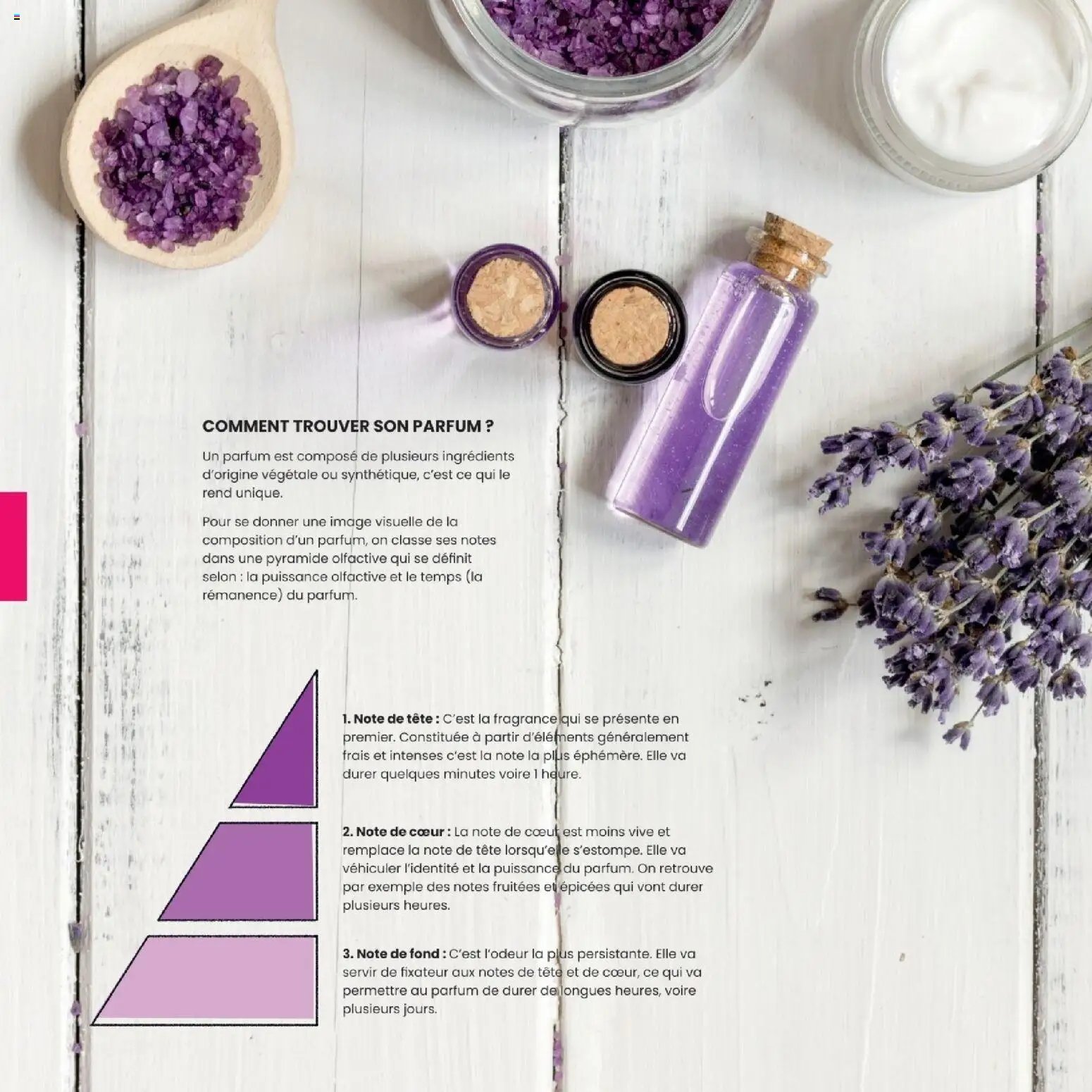 Texam catalogue 2026 (2026-02-02 - 2026-12-31)