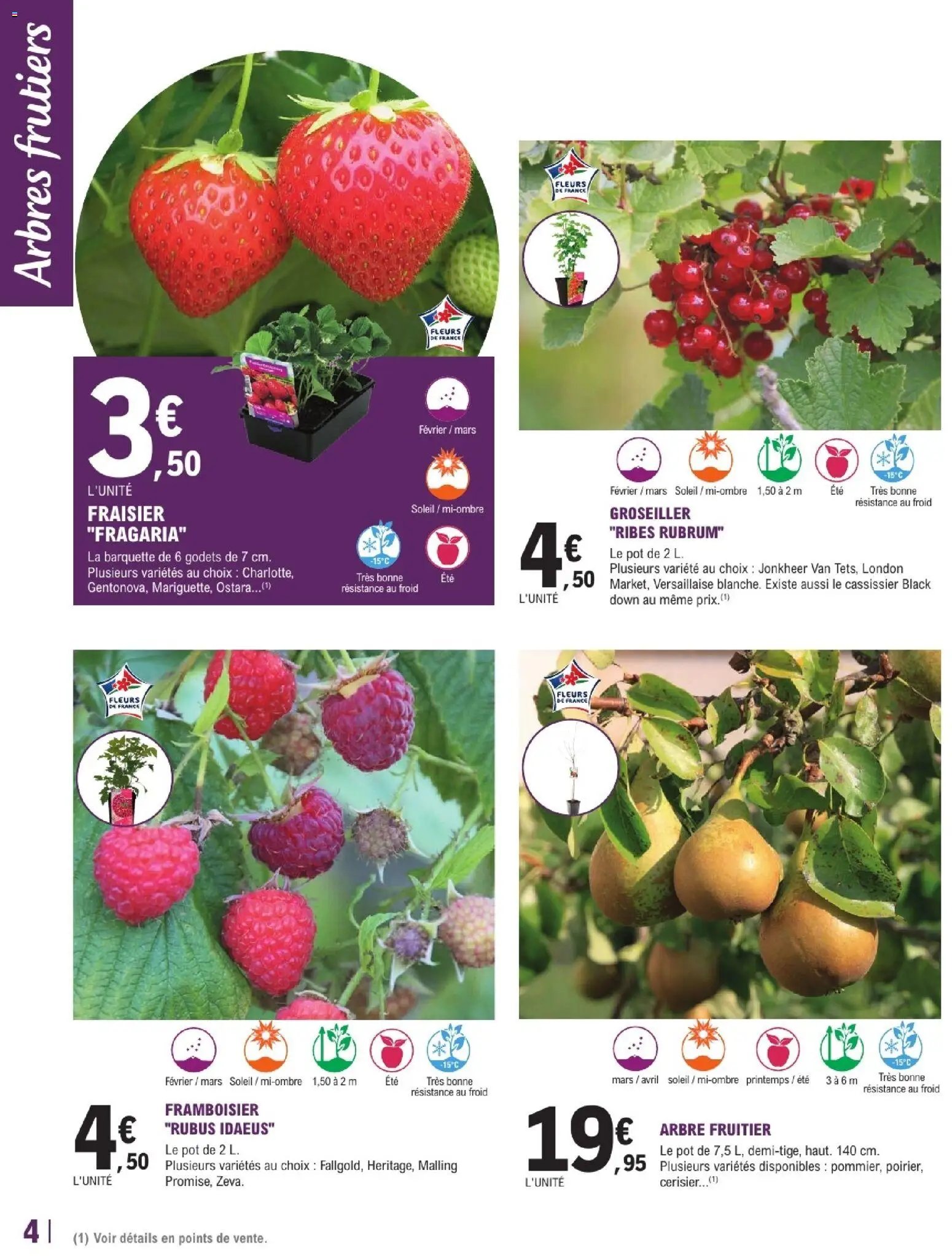 Brico E.Leclerc catalogue