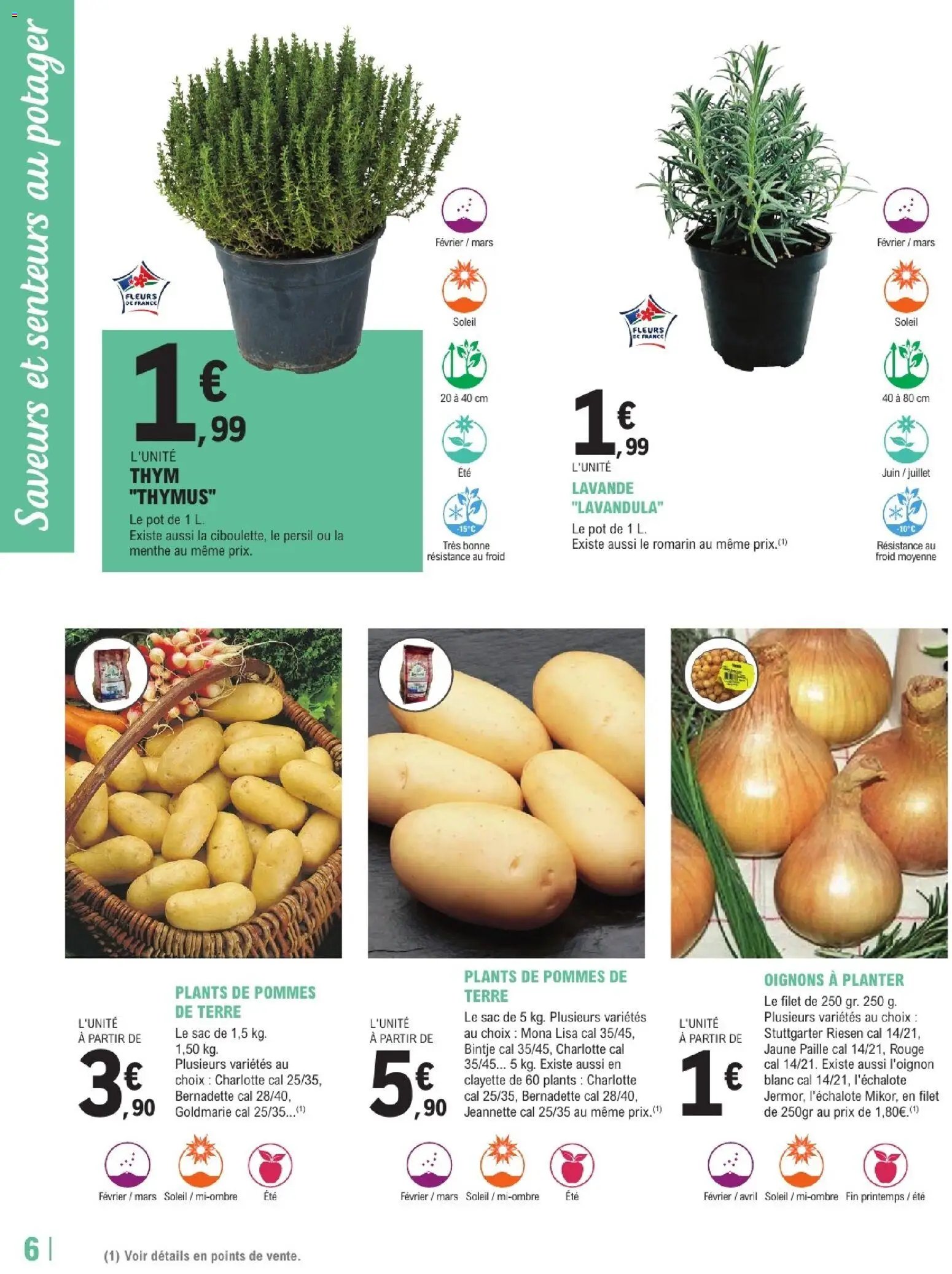 Brico E.Leclerc catalogue