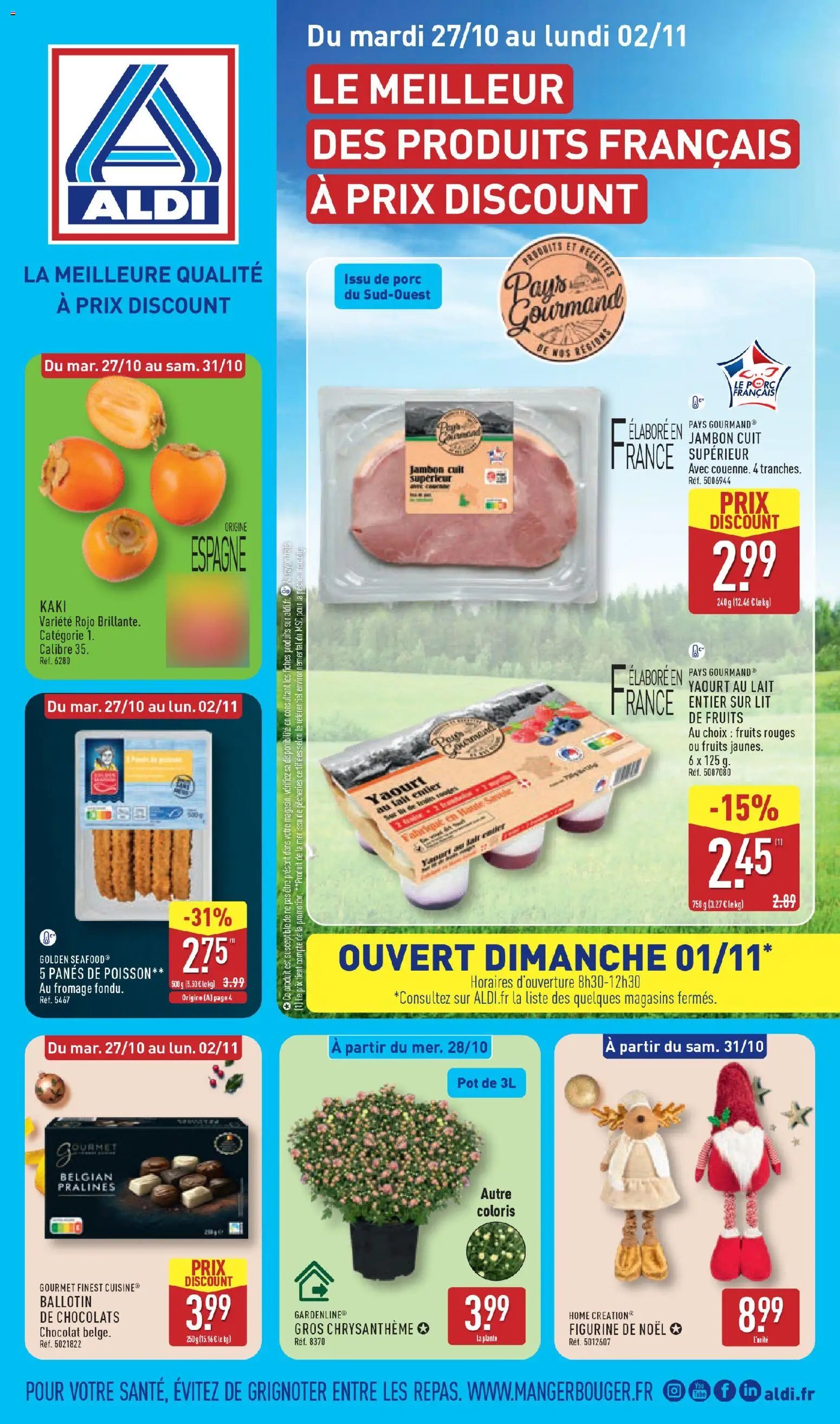 Aldi catalogue