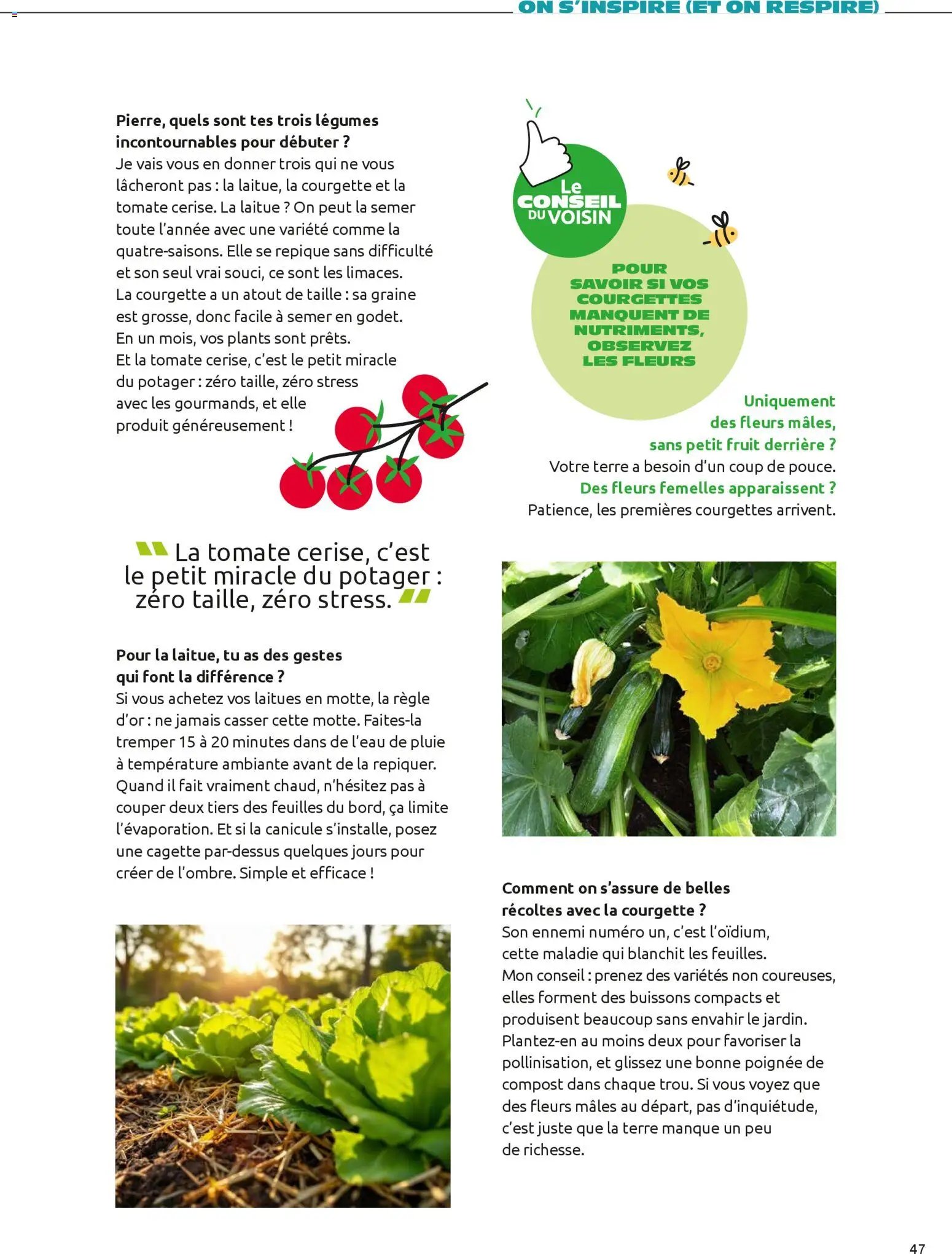 Mr. Bricolage Printemps 2026 (2026-04-01 - 2026-06-30)