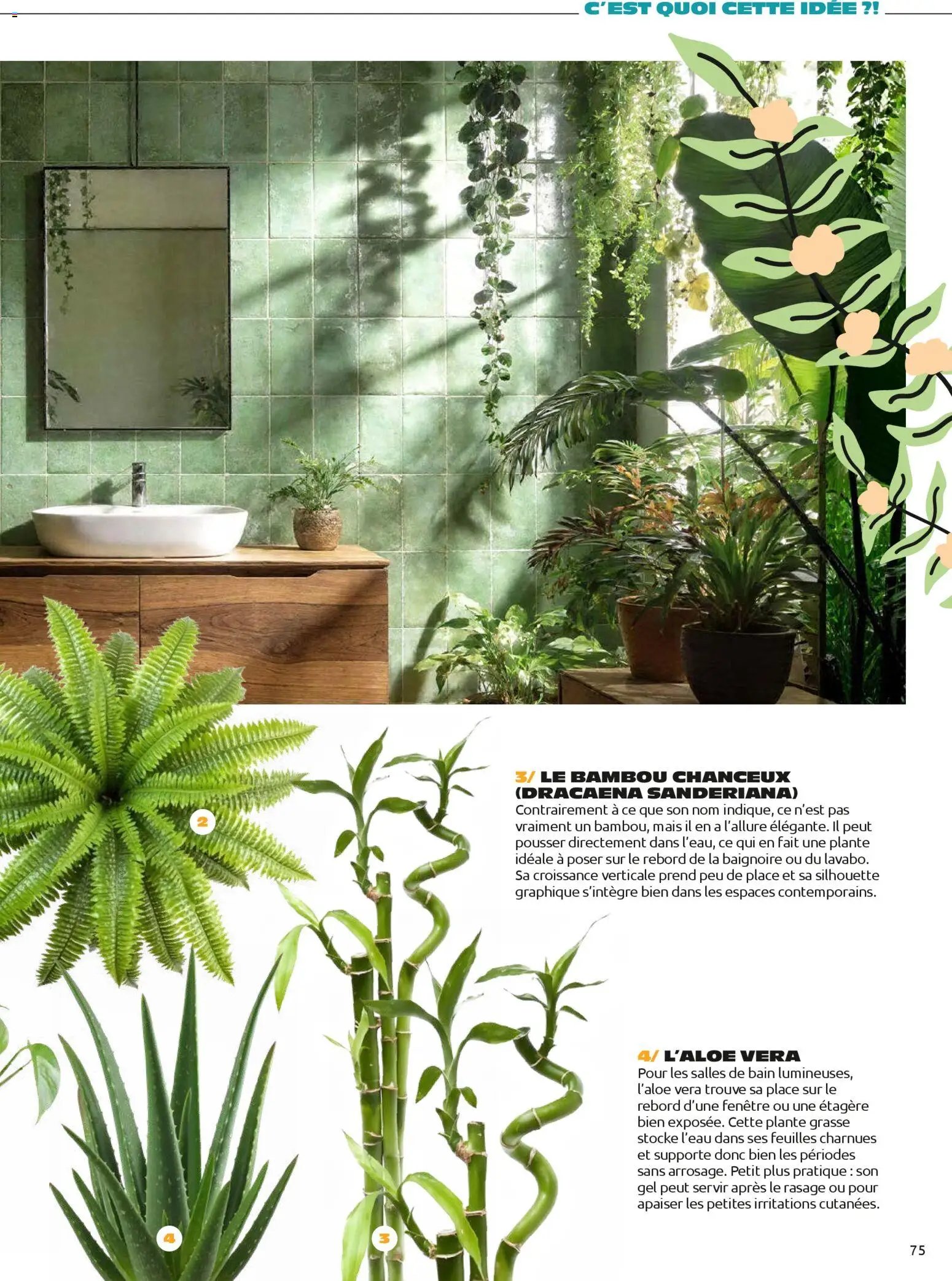 Mr. Bricolage Printemps 2026 (2026-04-01 - 2026-06-30)