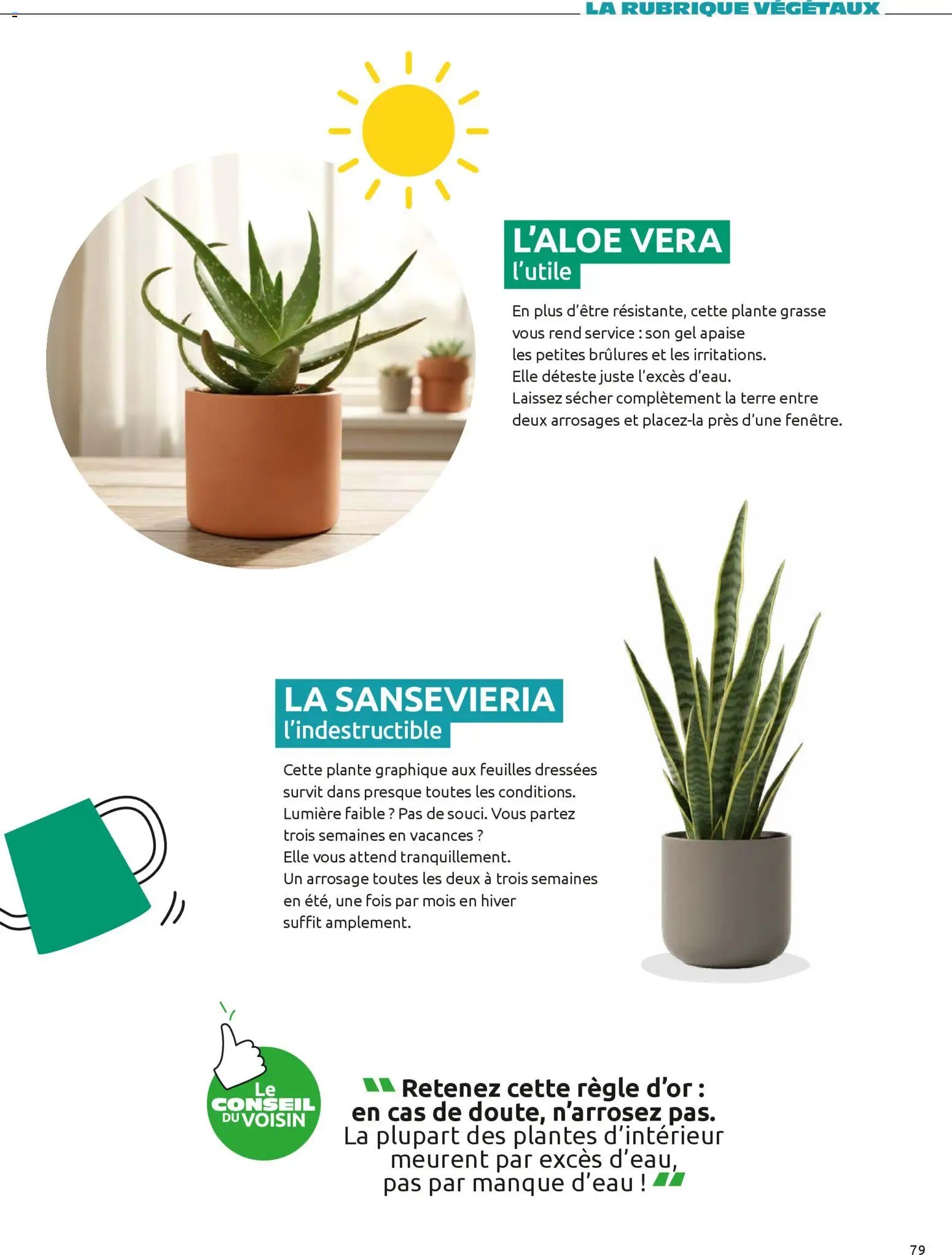 Mr. Bricolage Printemps 2026 (2026-04-01 - 2026-06-30)