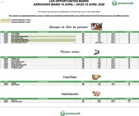 Promocash Opportunités Marée