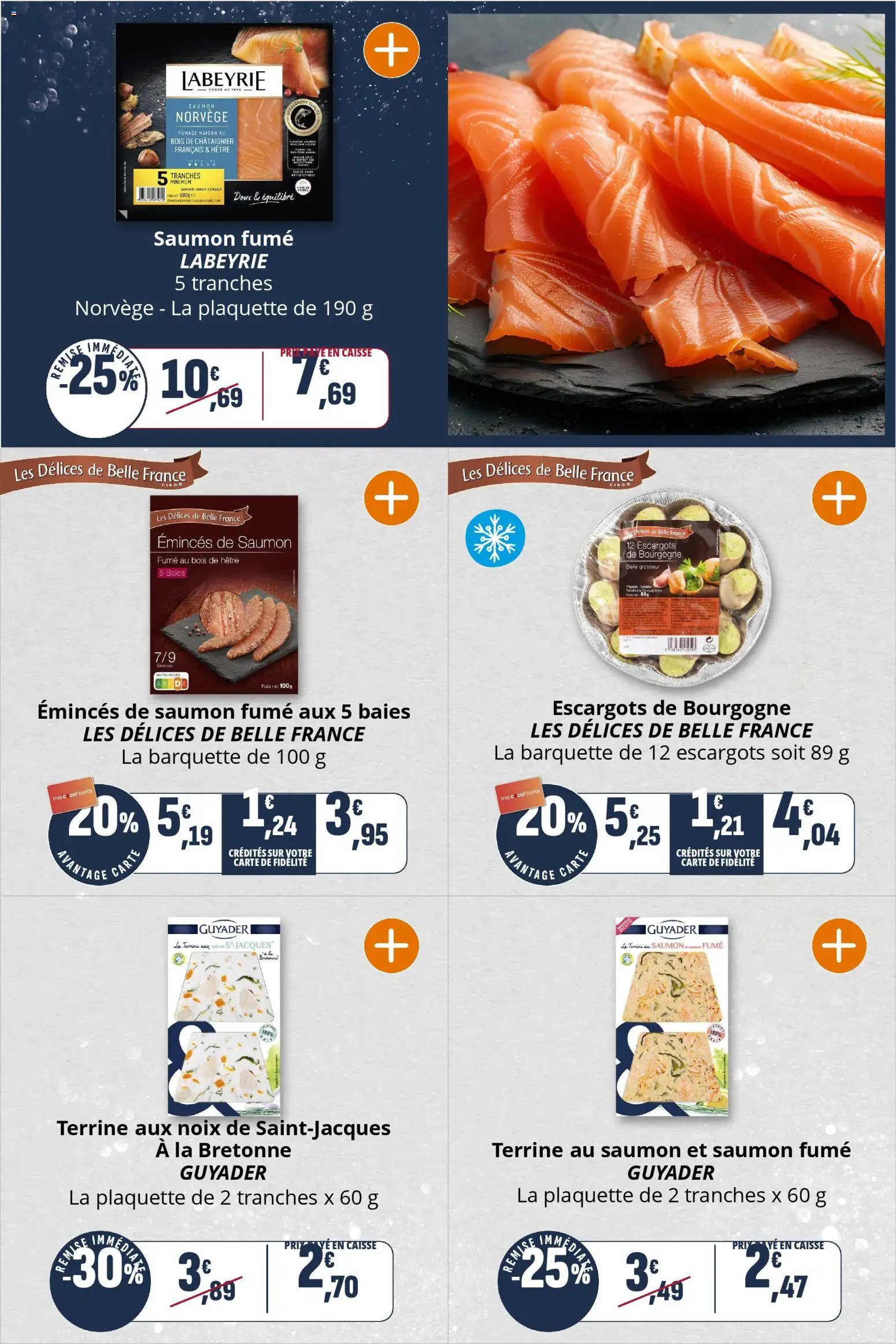 Coccinelle - Market (2025-12-17 - 2025-12-31)