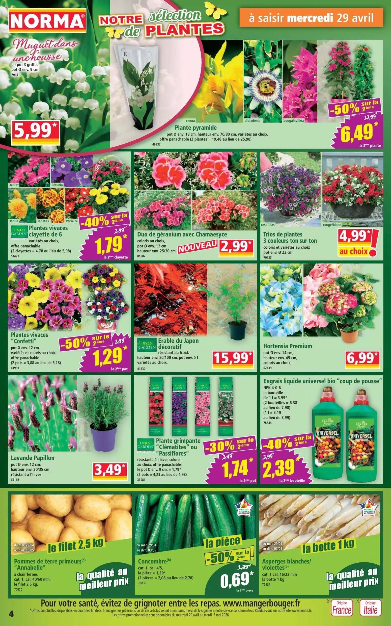 Norma catalogue (2026-04-29 - 2026-05-05)