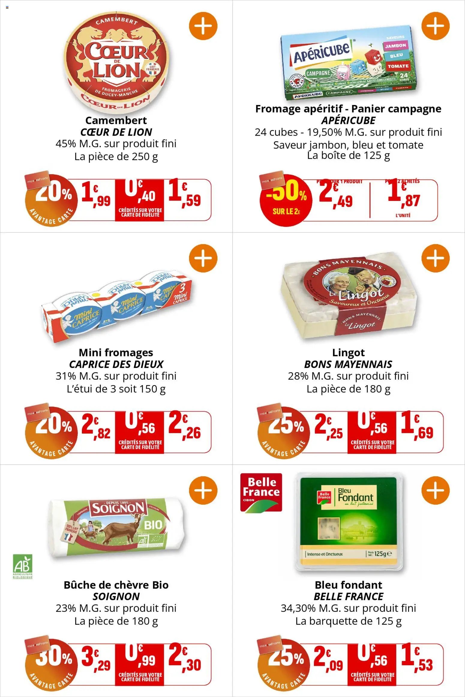 Coccinelle - Express (2025-12-03 - 2025-12-14)