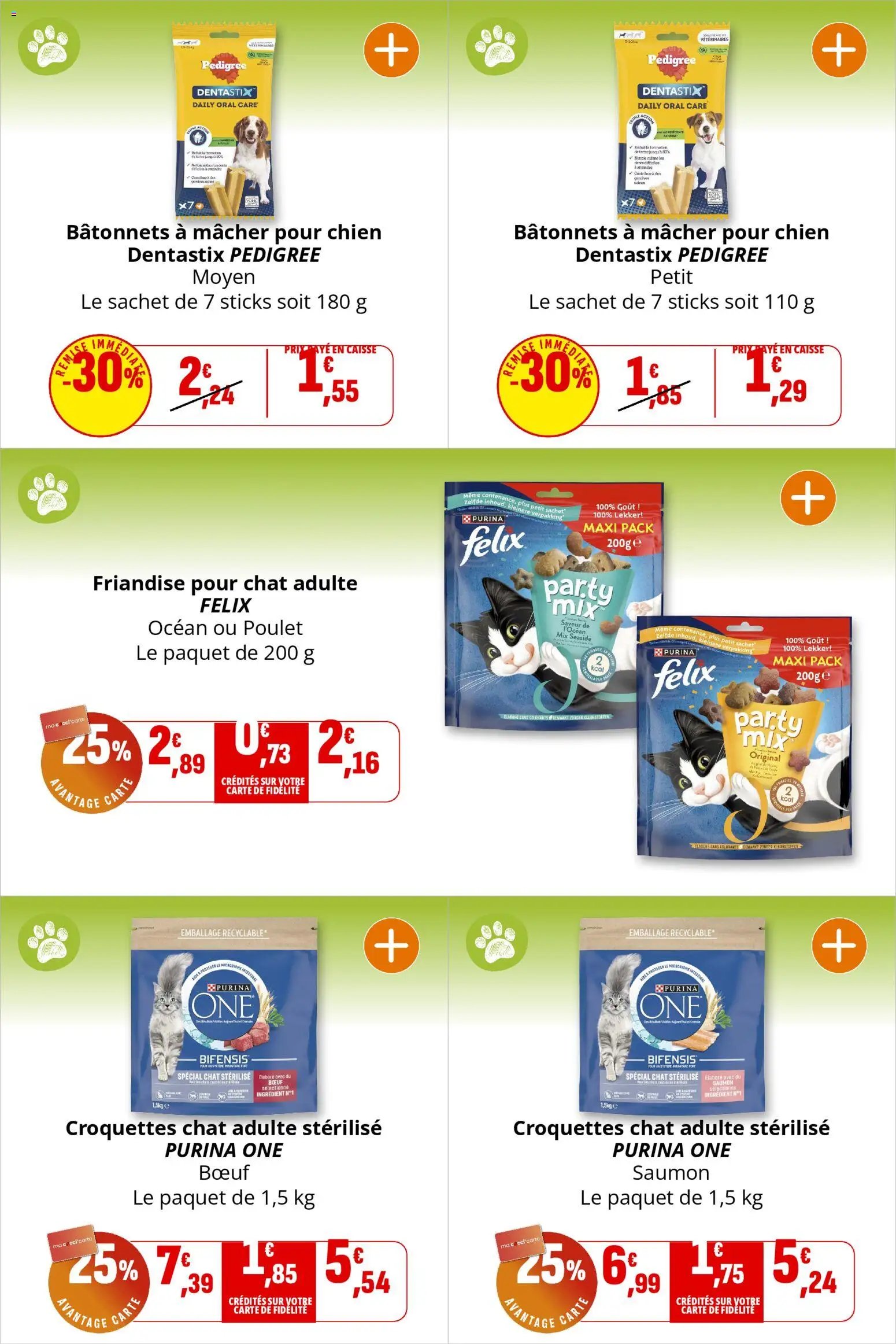 Coccinelle - Express (2025-12-03 - 2025-12-14)