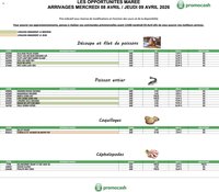 Promocash Opportunités Marée