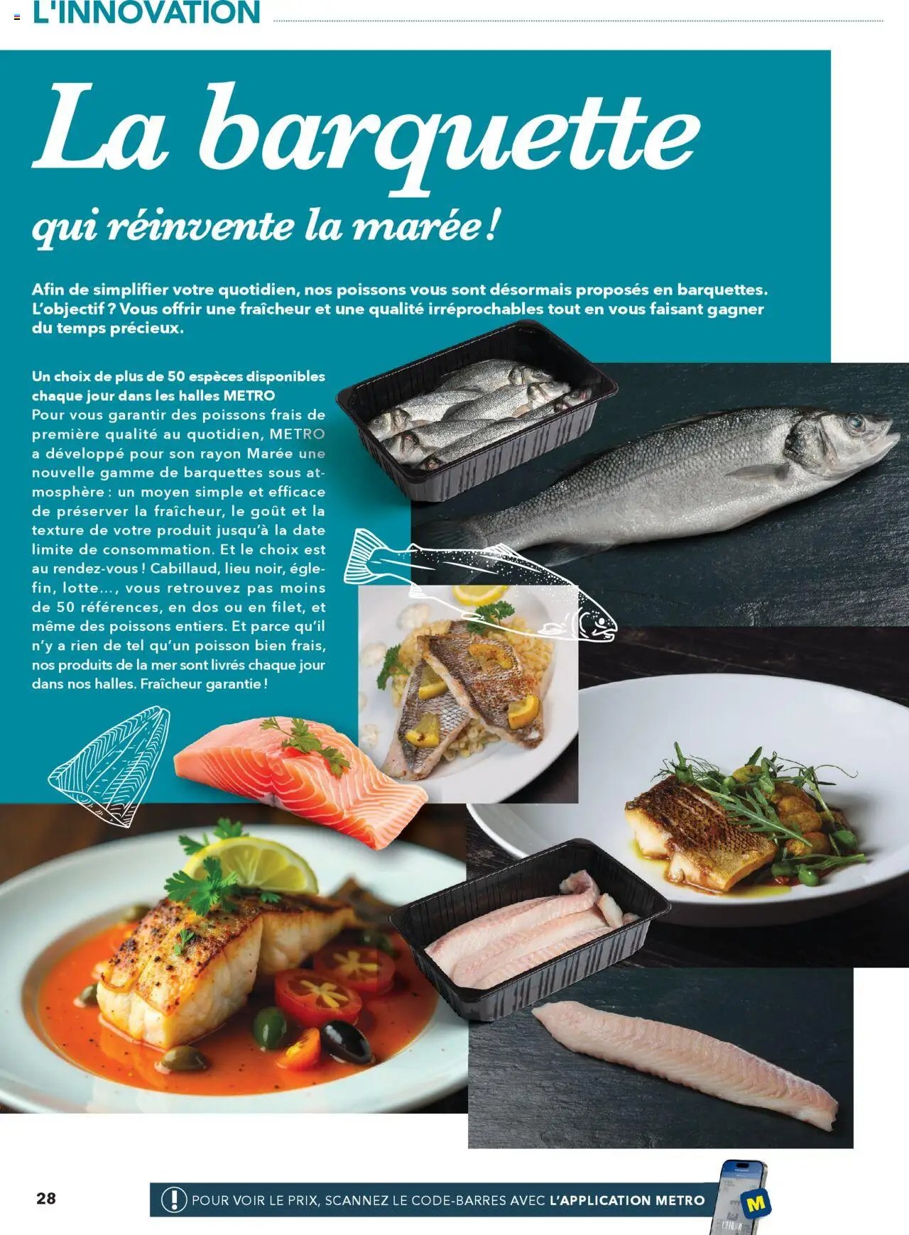 METRO tendances, nouveautés, innovations (2025-06-19 - 2025-12-31)